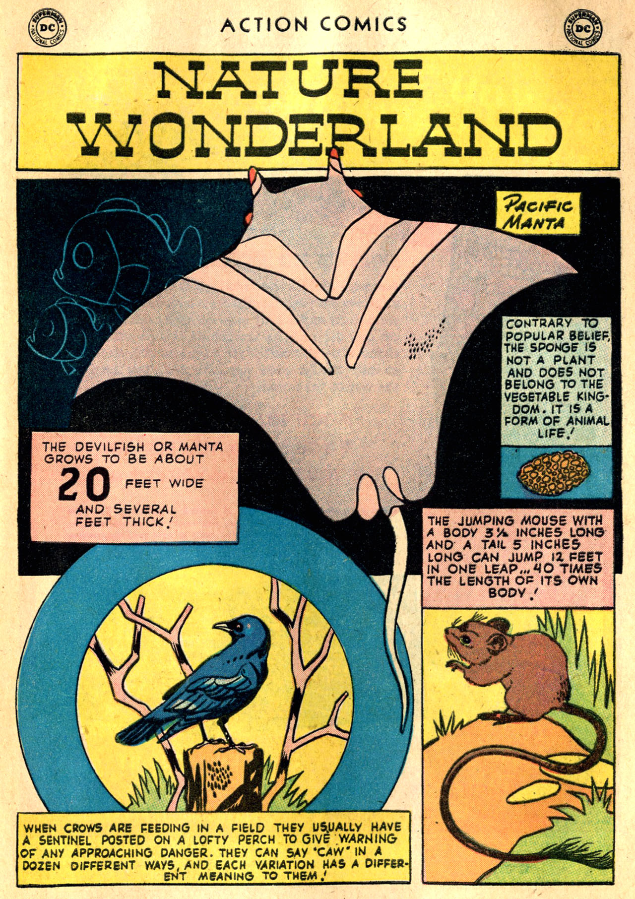 Action Comics (1938) Issue #242 - Page 33
