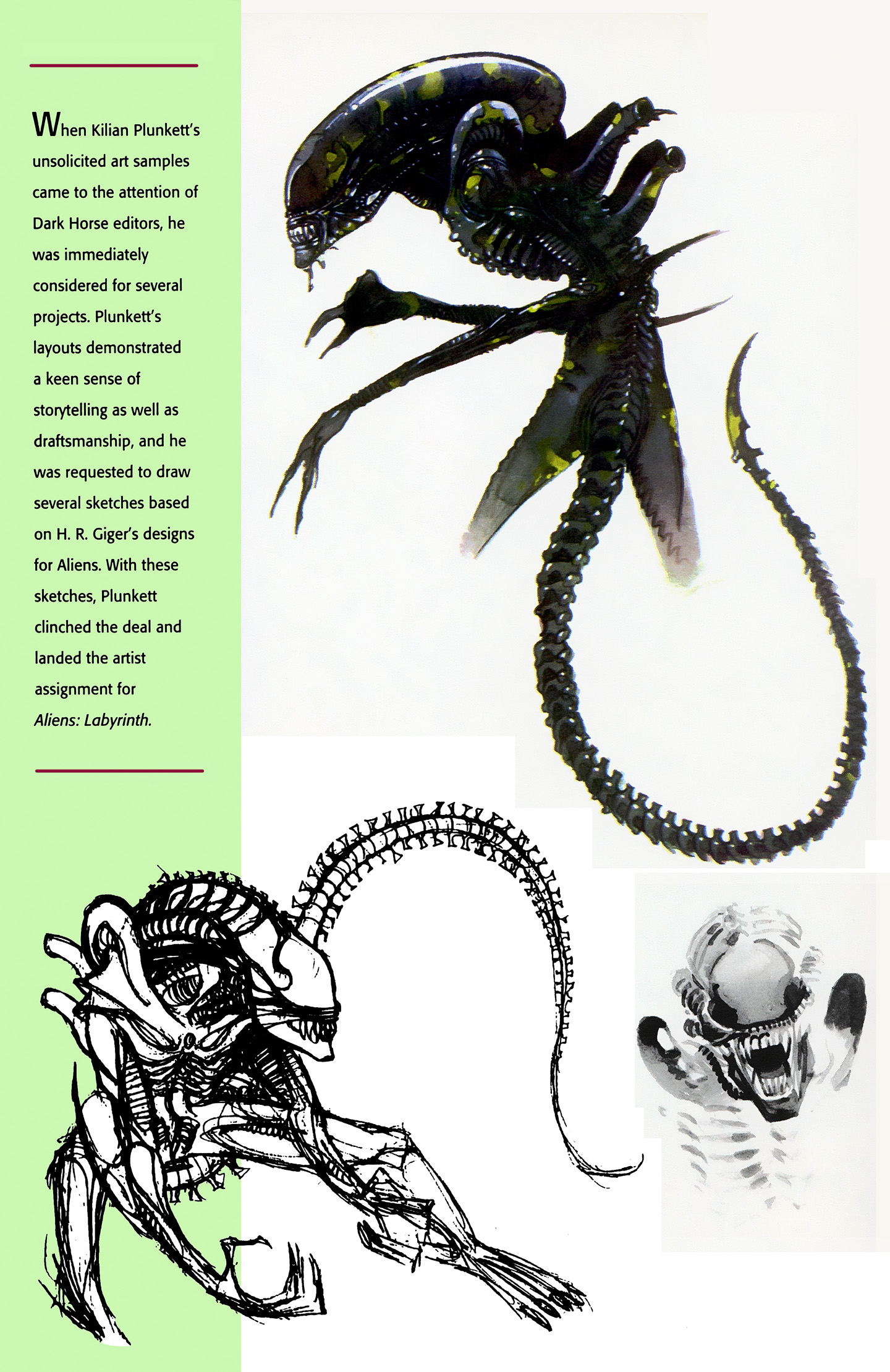 Aliens: Labyrinth Issue #1 - Page 29