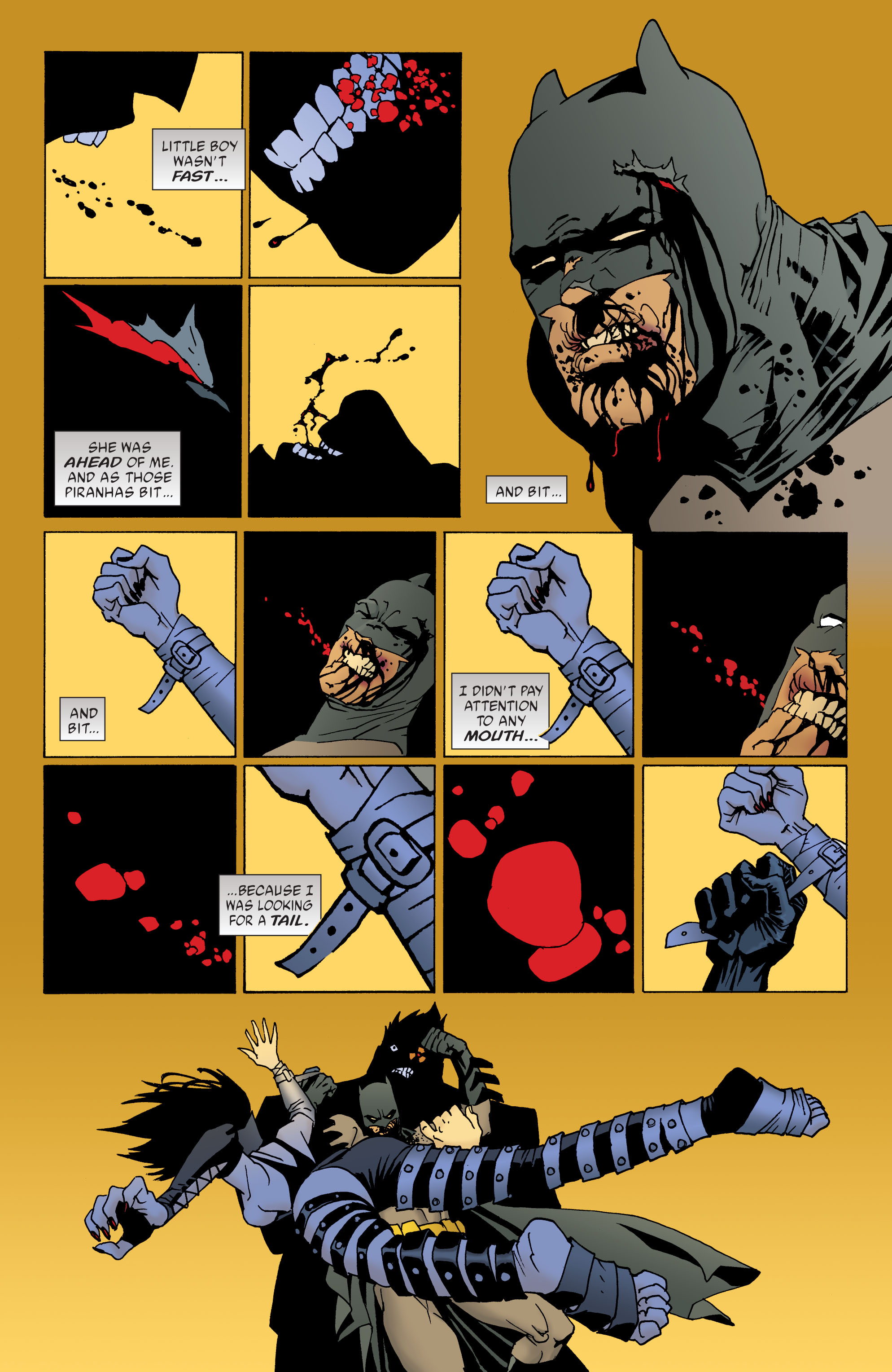 Batman (1940) Issue #624 - Page 17