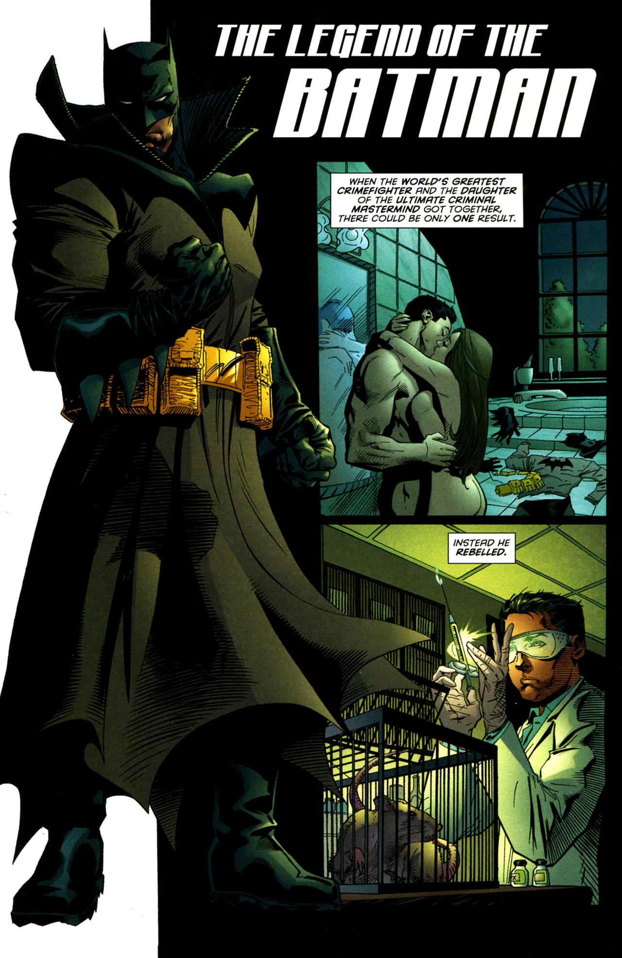 Batman (1940) Issue #666 - Page 3
