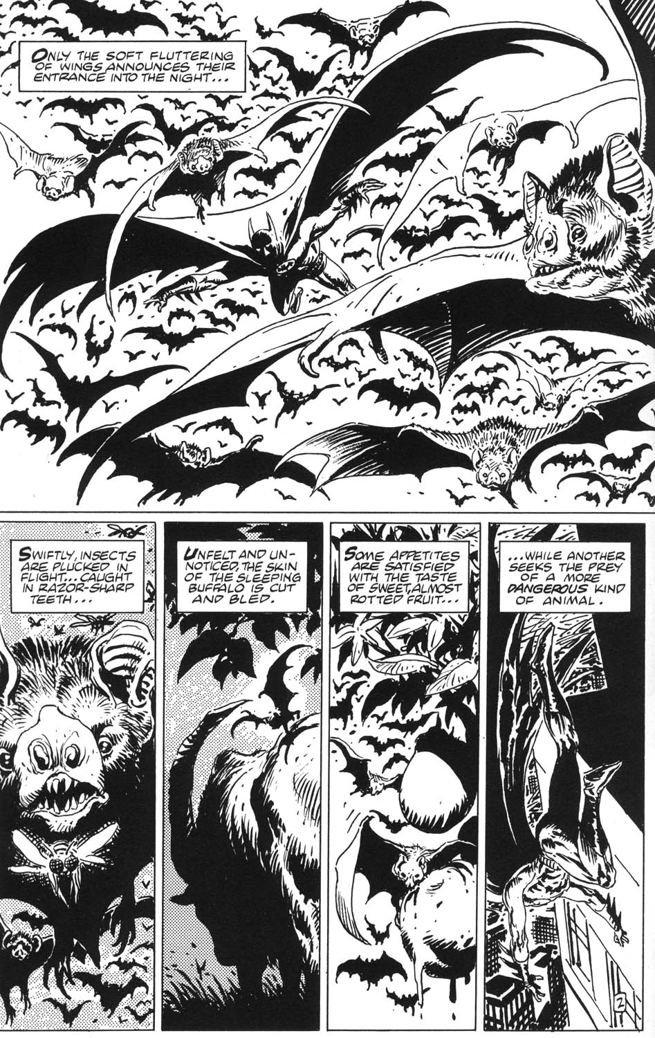 Batman Black and White (1996) Issue #1 - Page 24
