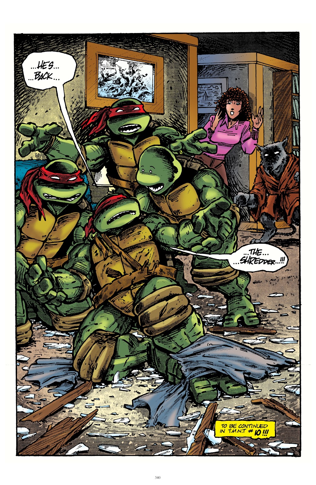 Best of Teenage Mutant Ninja Turtles Collection TPB 1 (Part 4) - Page 20