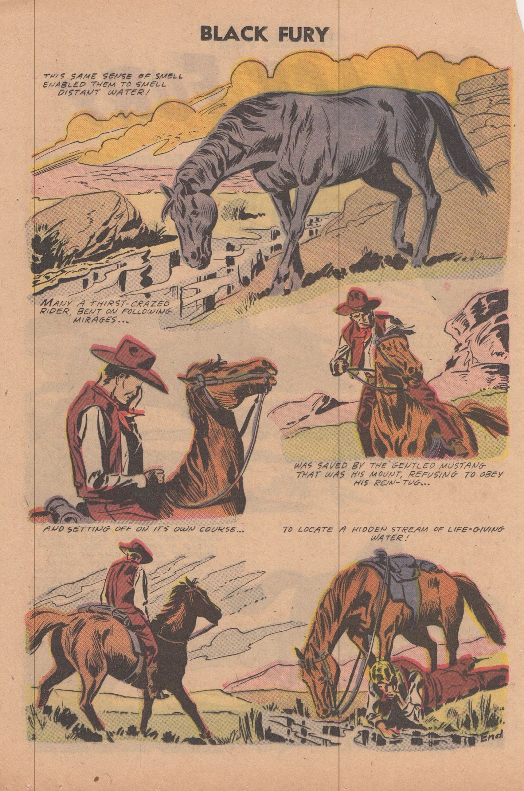 Black Fury Issue #13 - Page 20