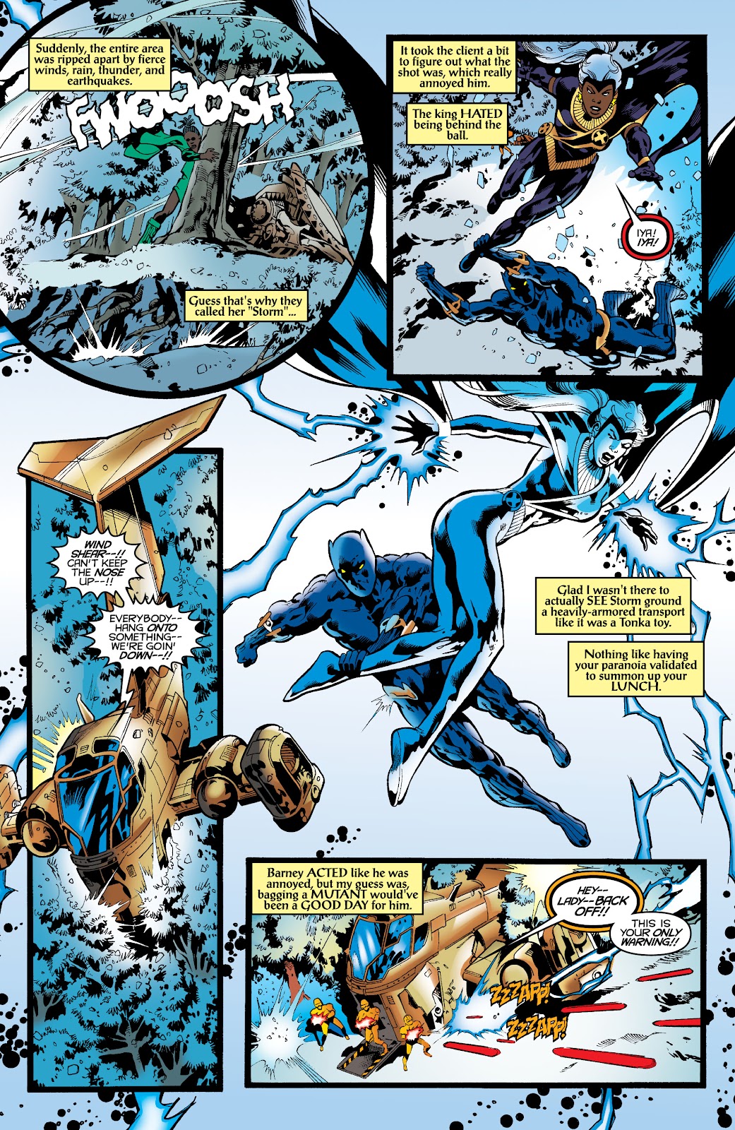 Black Panther by Christopher Priest Omnibus TPB (Part 7) - Page 12