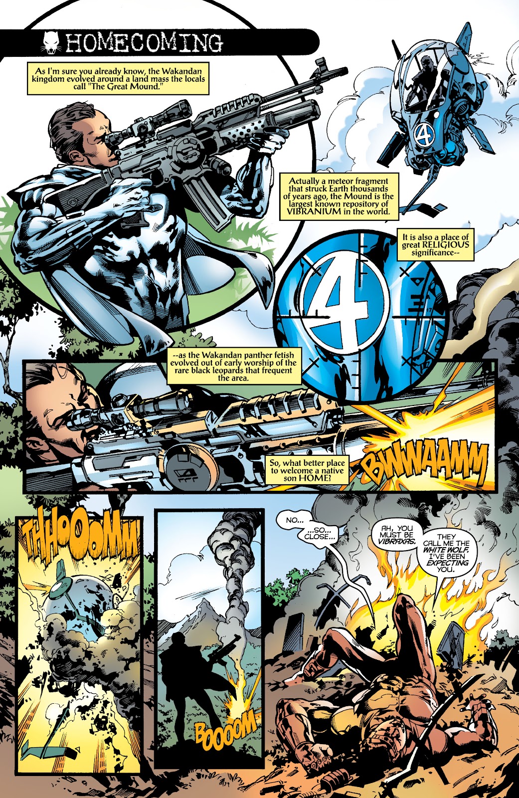 Black Panther by Christopher Priest Omnibus TPB (Part 7) - Page 15