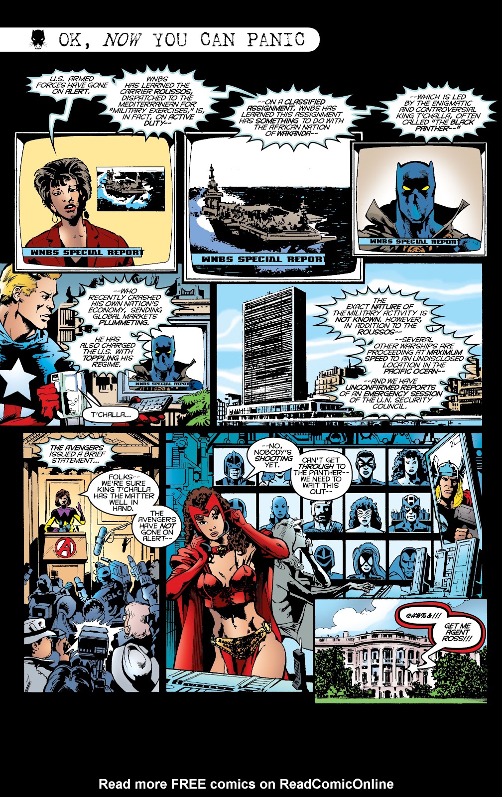 Black Panther by Christopher Priest Omnibus TPB (Part 7) - Page 24