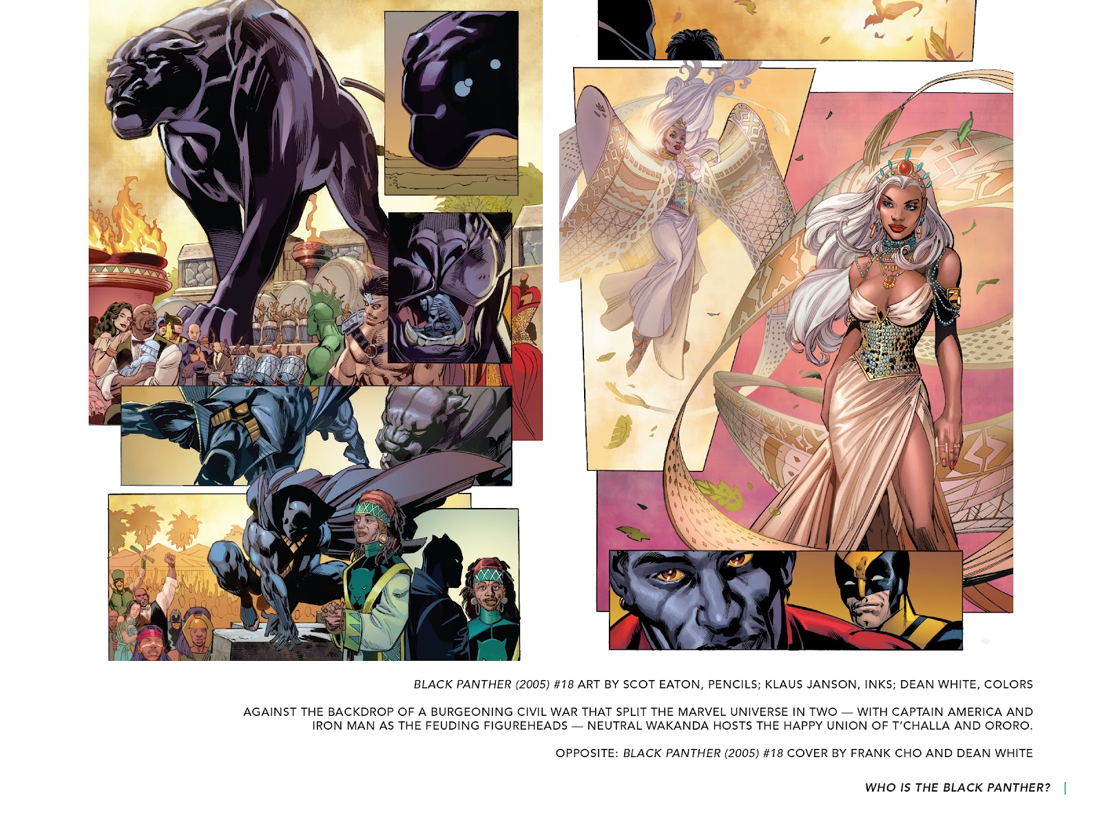 Black Panther: Visions of Wakanda TPB_(Part_3) - Page 7
