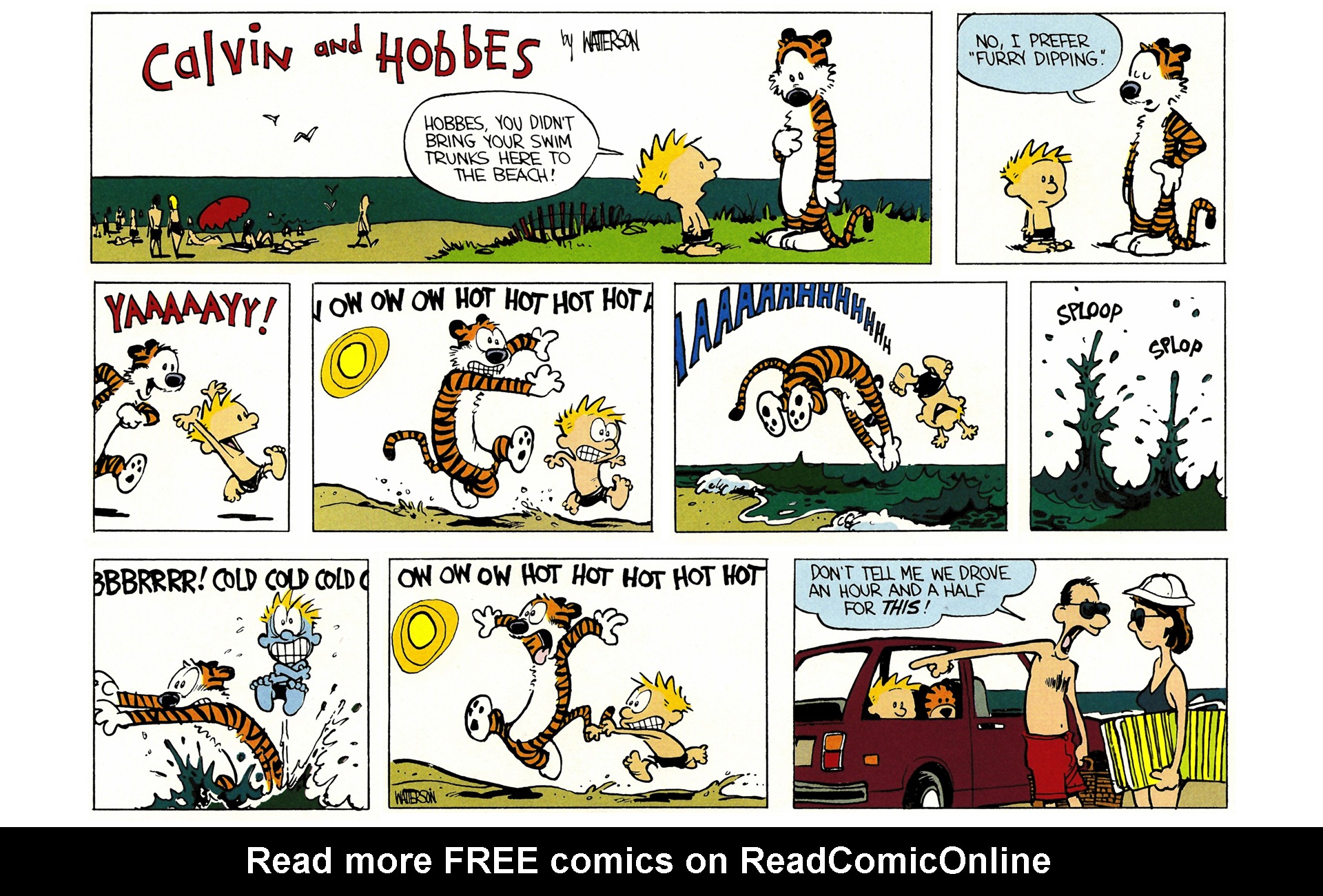 Calvin and Hobbes Issue #1 - Page 137