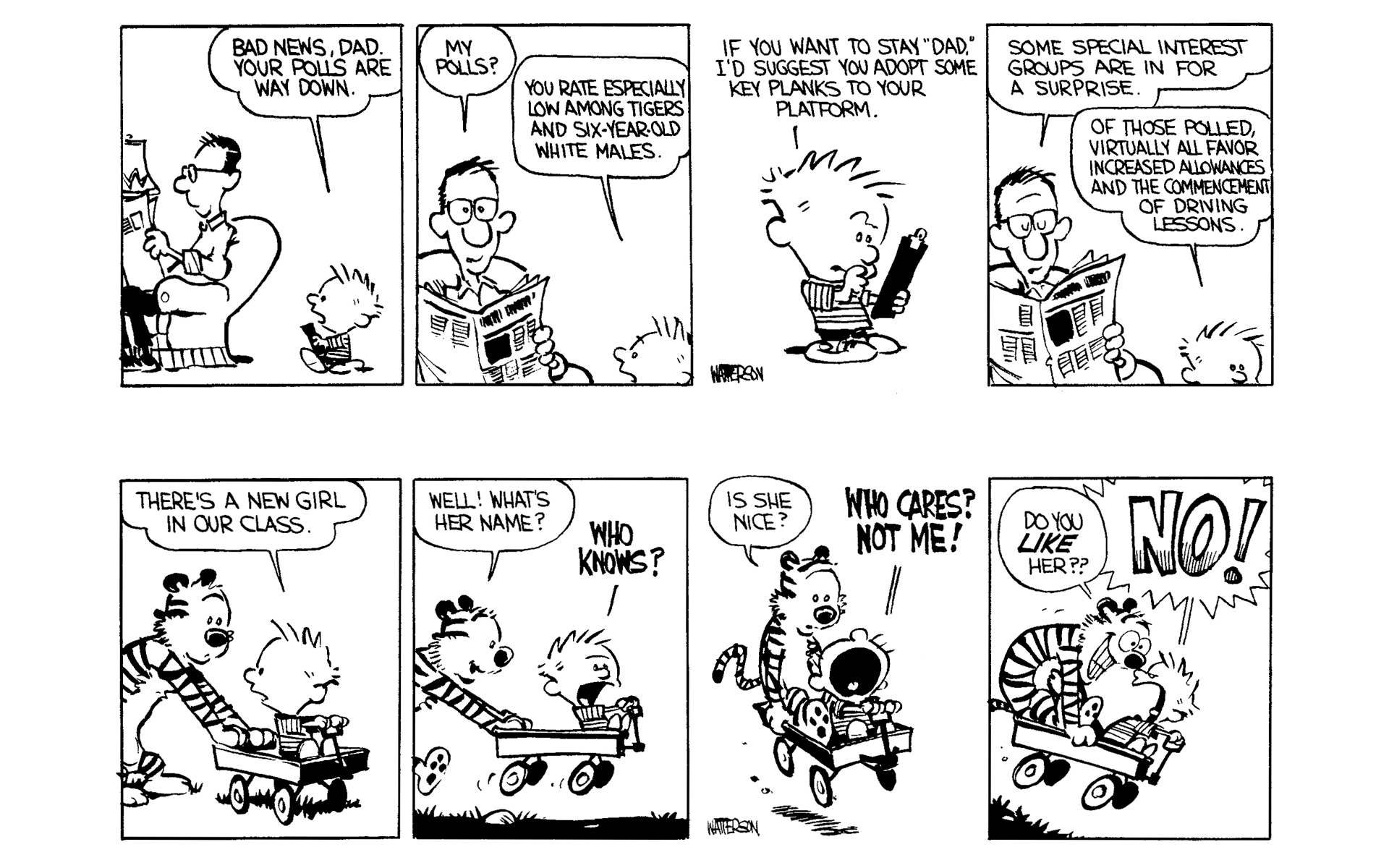 Calvin and Hobbes Issue #1 - Page 14