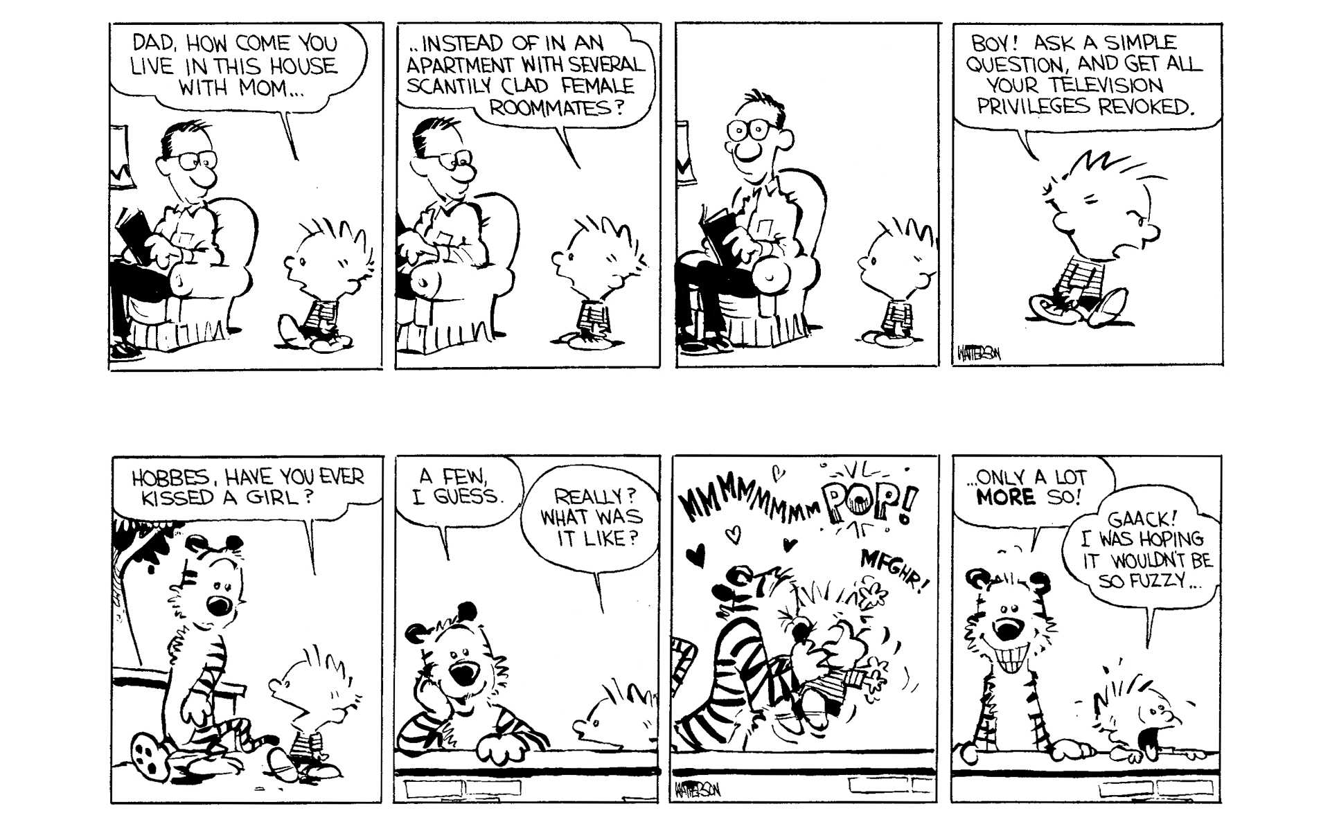 Calvin and Hobbes Issue #1 - Page 31