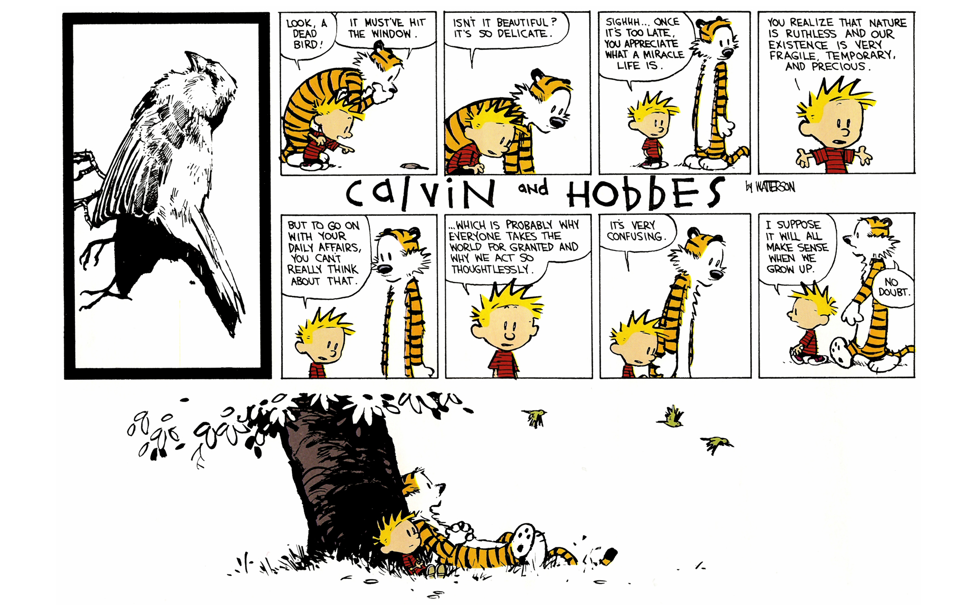 Calvin and Hobbes Issue #10 - Page 14