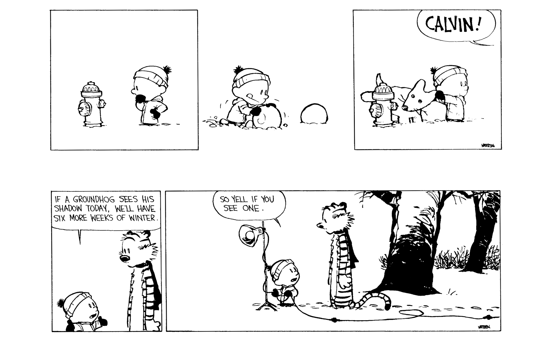 Calvin and Hobbes Issue #10 - Page 144