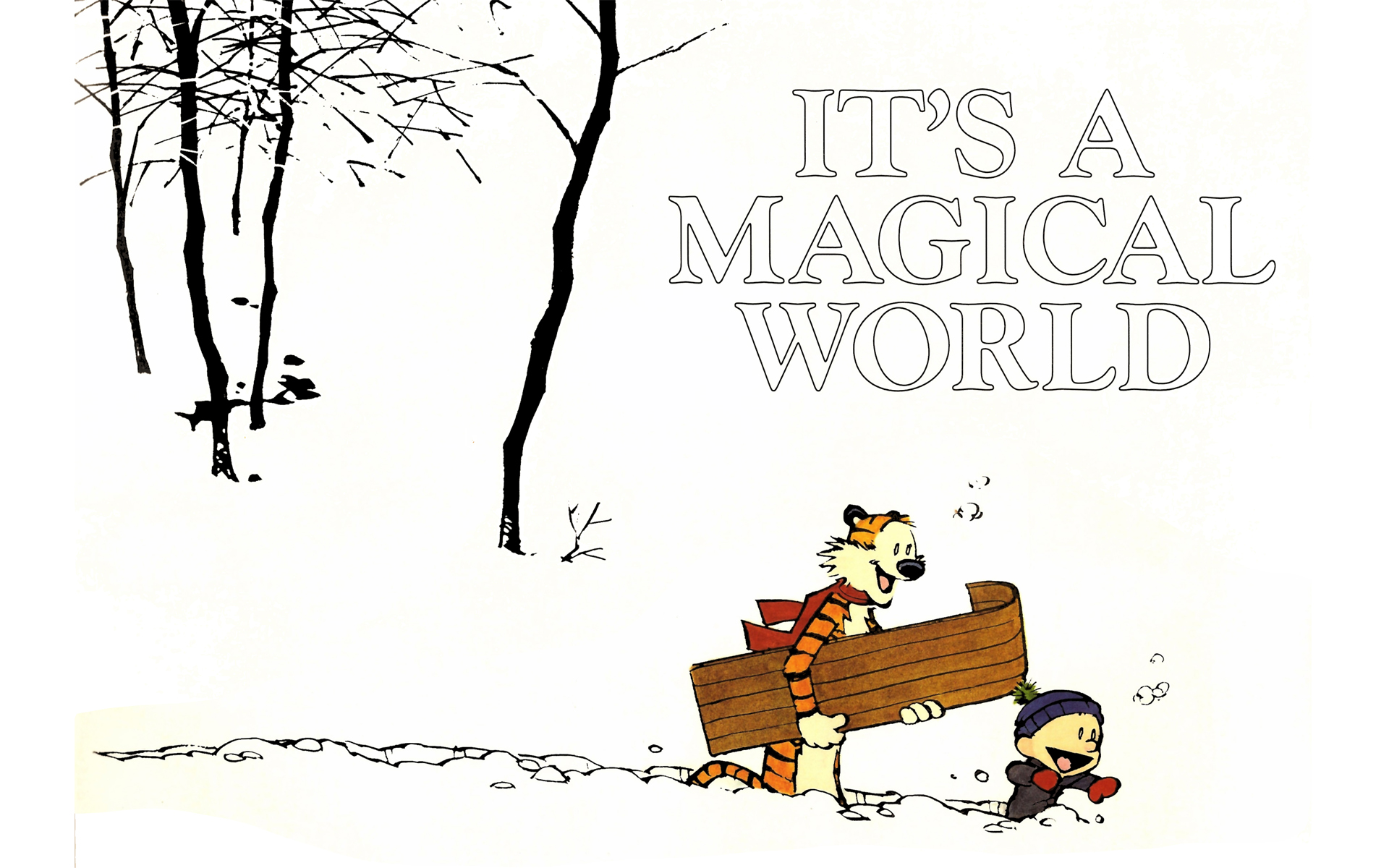 Calvin and Hobbes Issue #11 - Page 1