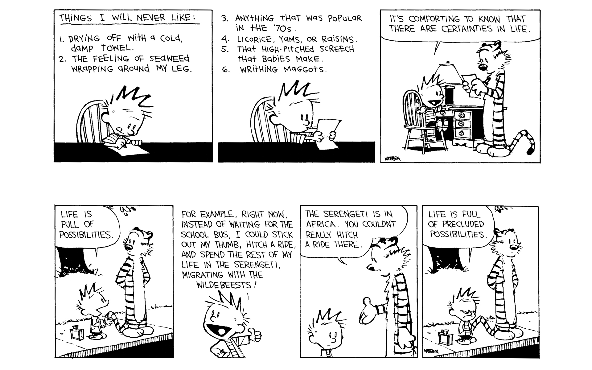 Calvin and Hobbes Issue #11 - Page 41