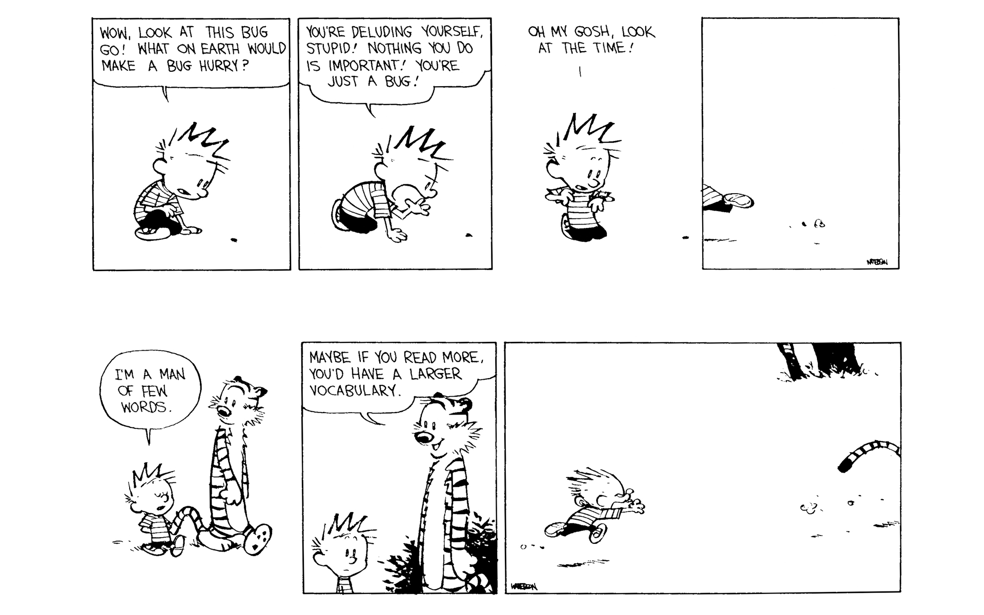 Calvin and Hobbes Issue #11 - Page 46