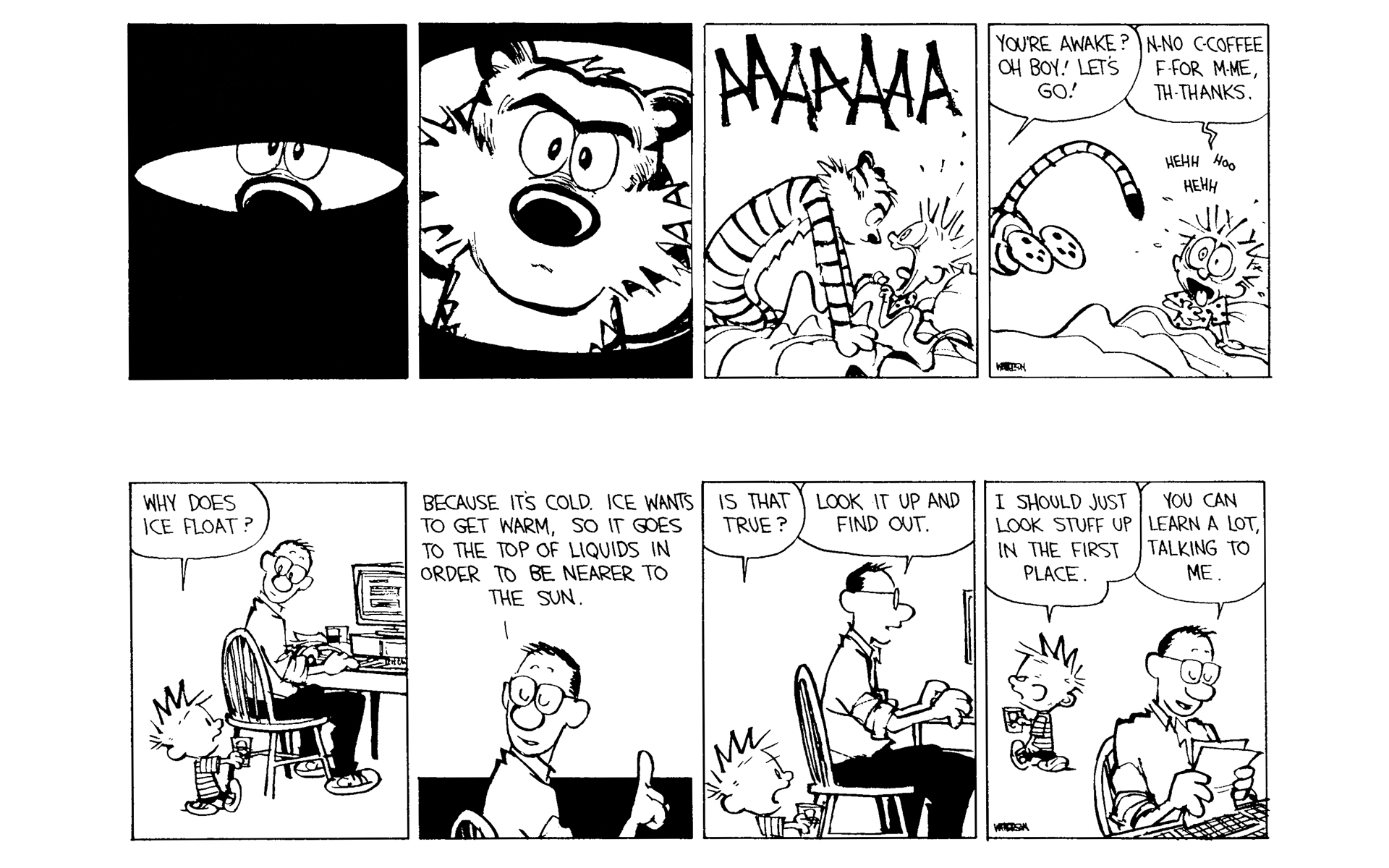Calvin and Hobbes Issue #11 - Page 50
