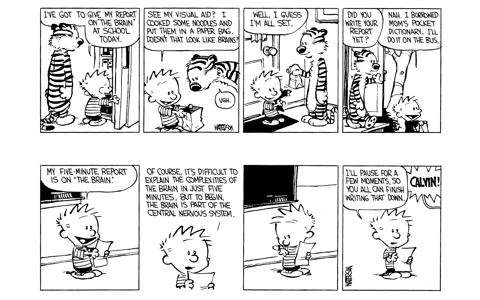 Calvin and Hobbes Issue #2 - Page 146