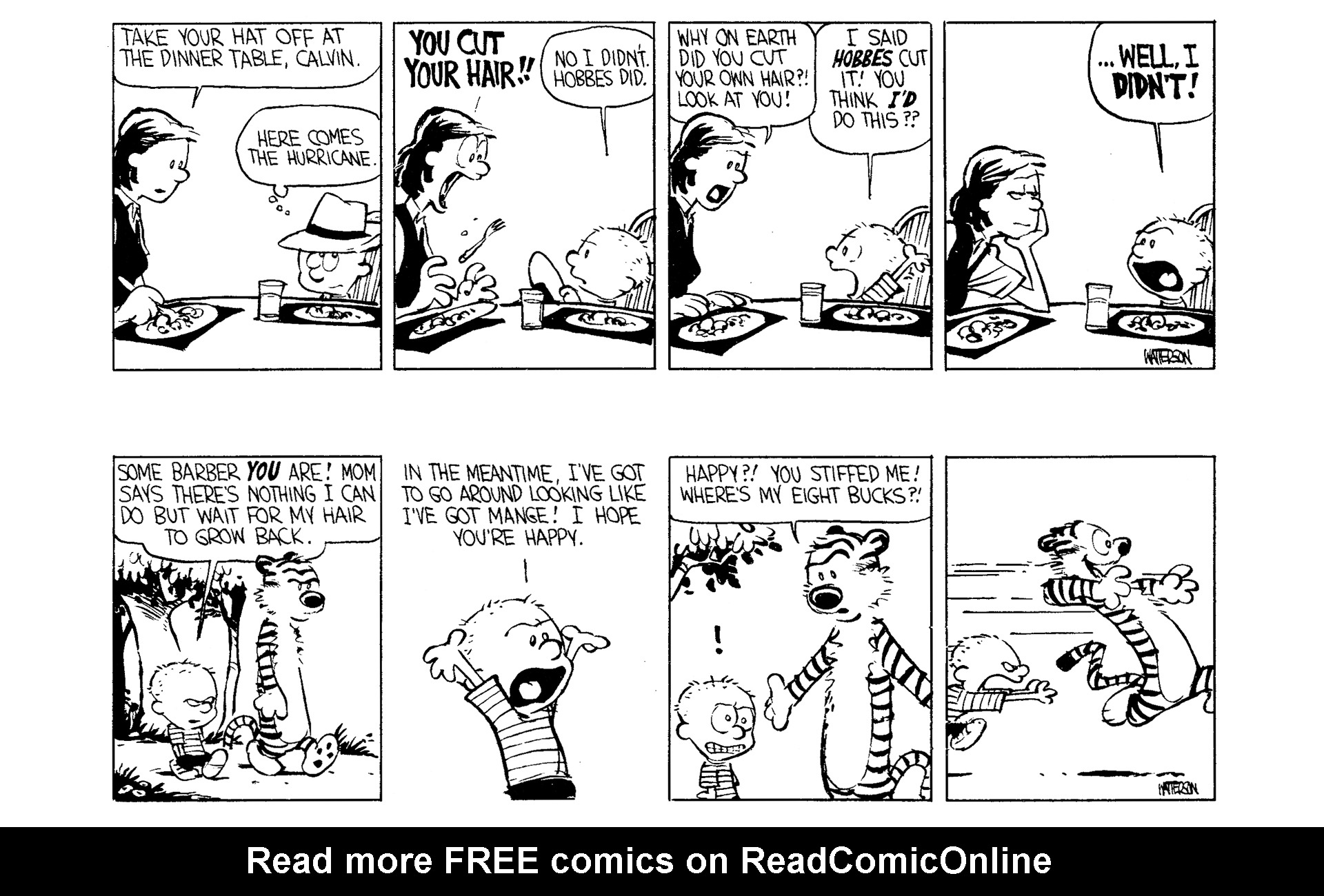 Calvin and Hobbes Issue #2 - Page 161