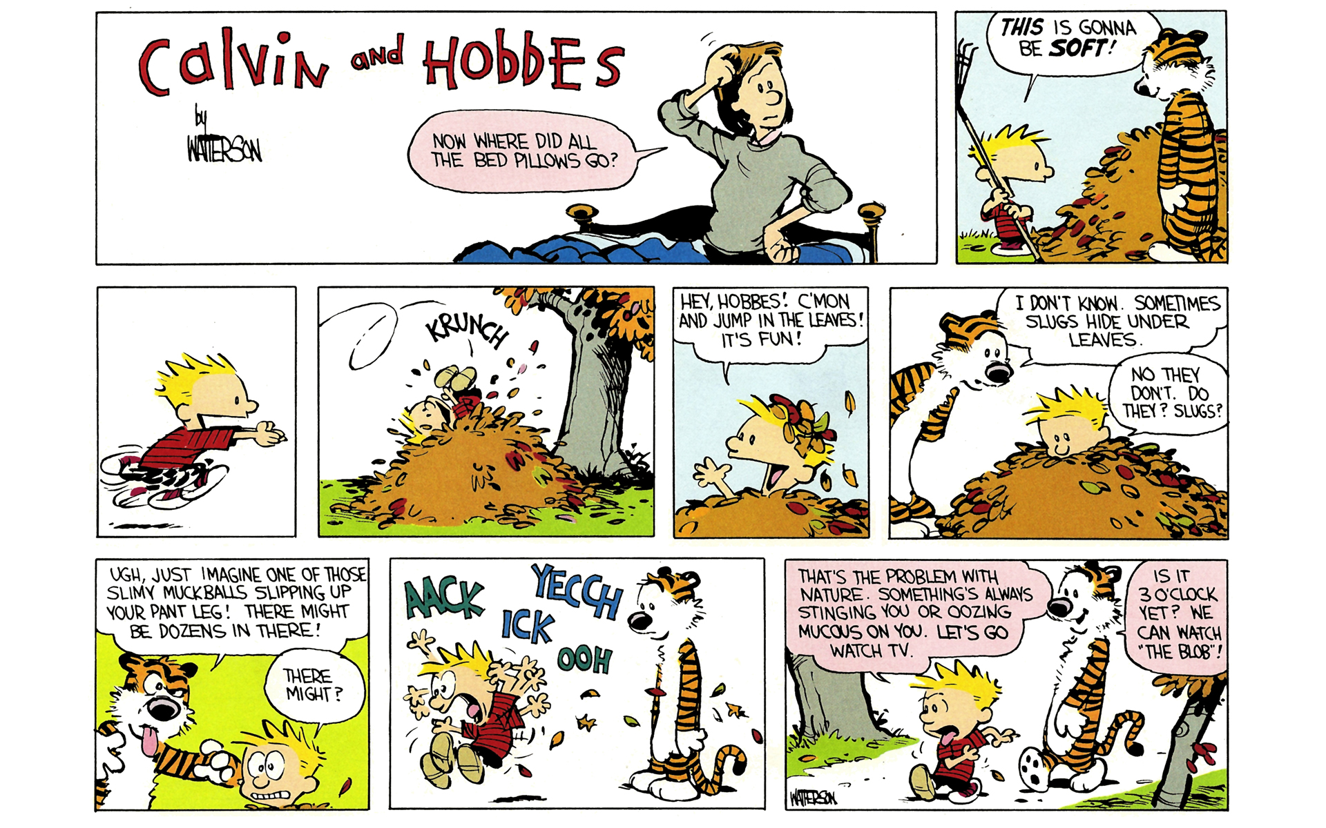 Calvin and Hobbes Issue #2 - Page 41