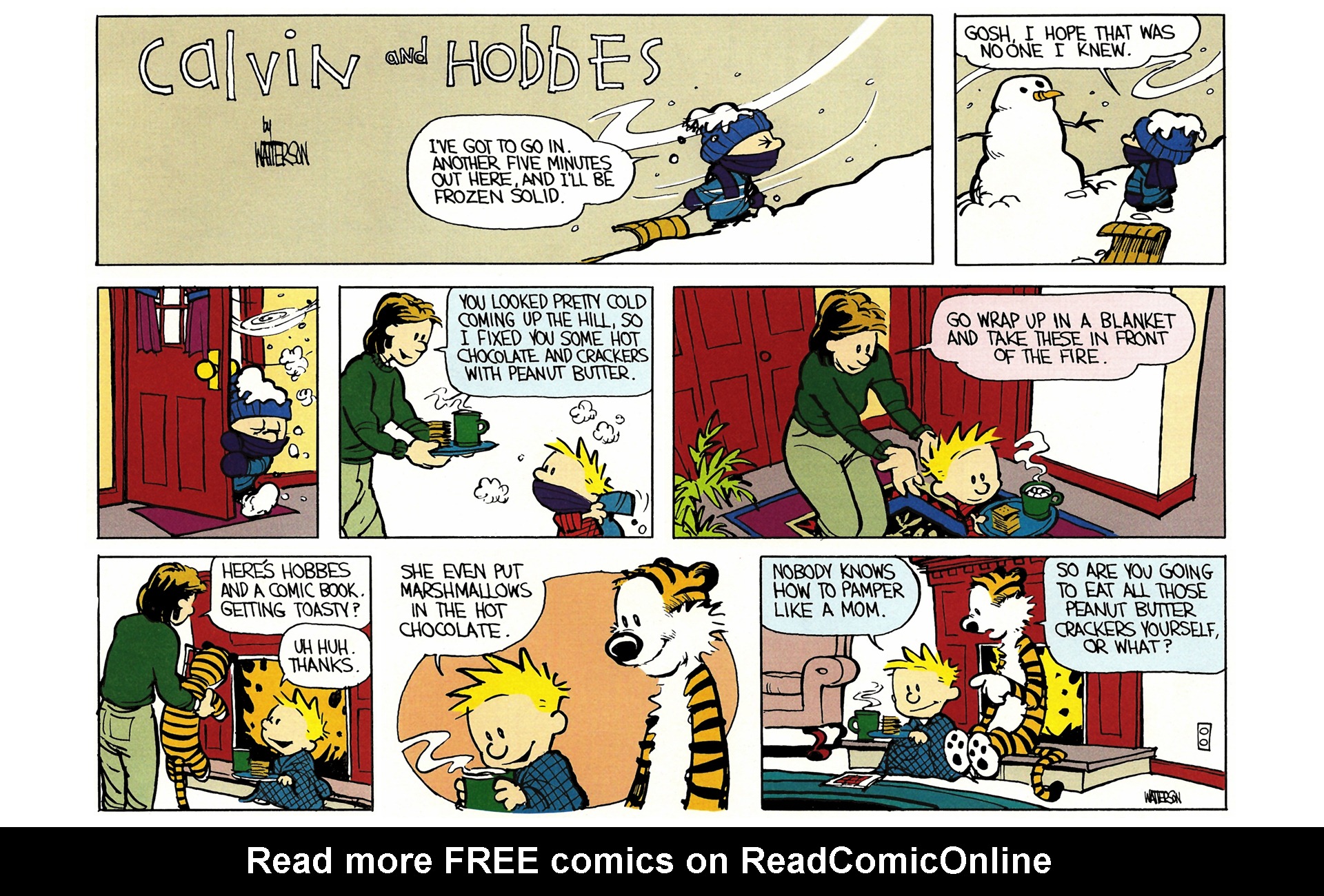 Calvin and Hobbes Issue #3 - Page 139