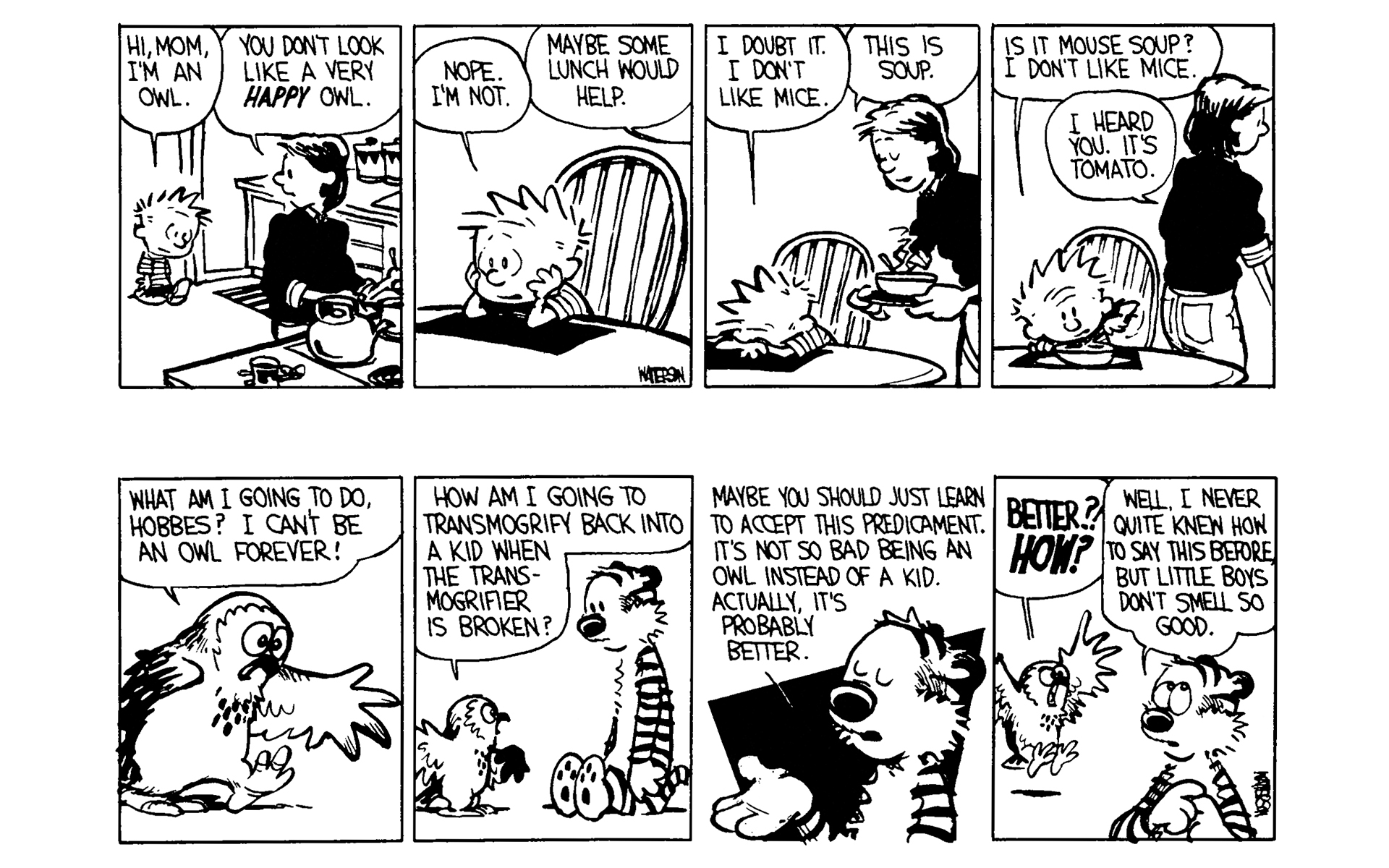 Calvin and Hobbes Issue #3 - Page 160