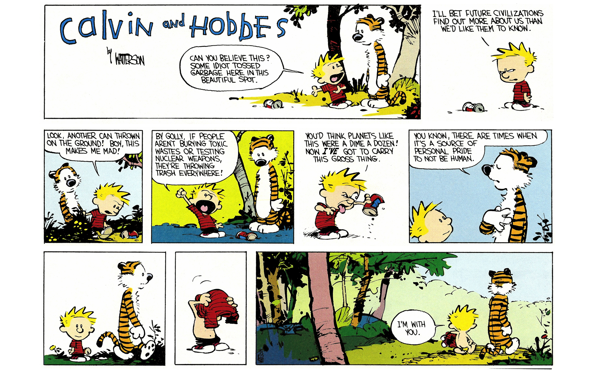 Calvin and Hobbes Issue #3 - Page 38