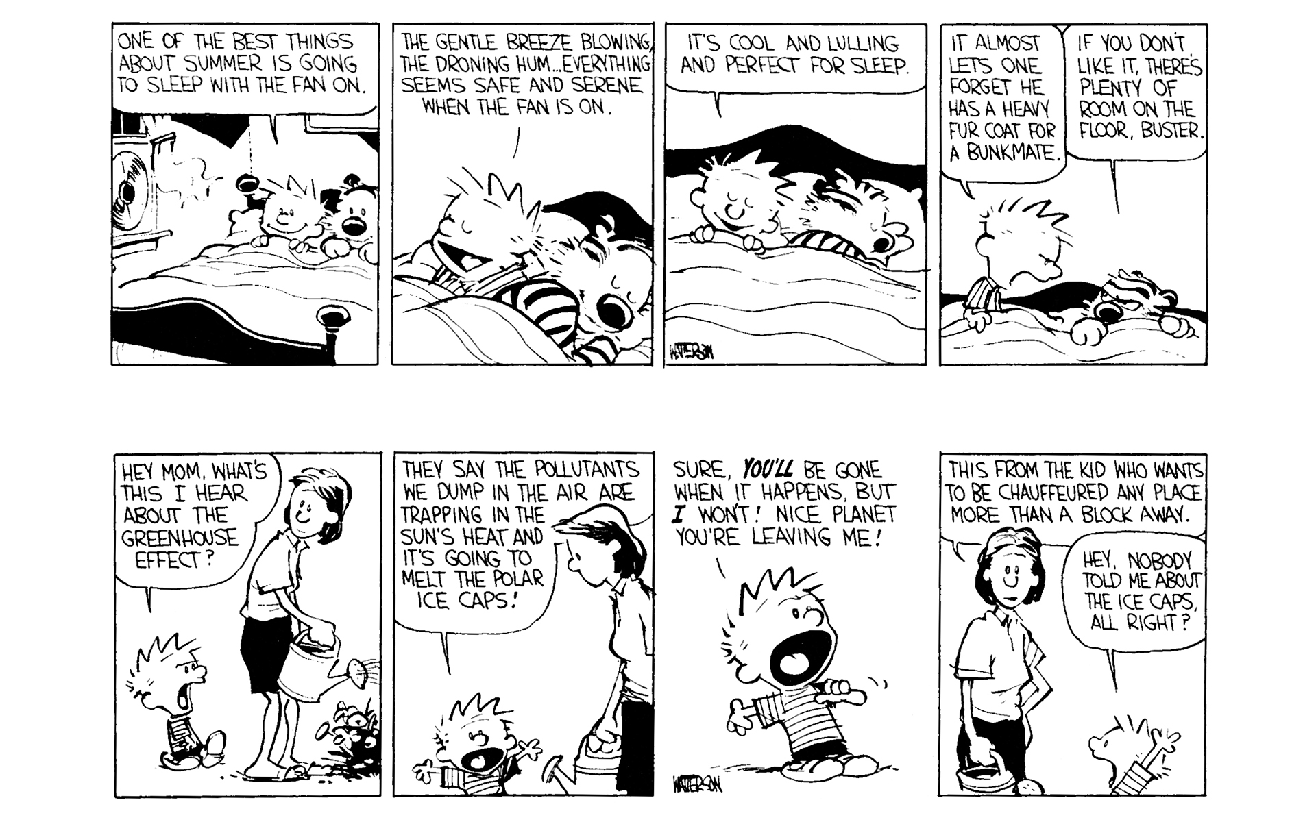 Calvin and Hobbes Issue #3 - Page 40
