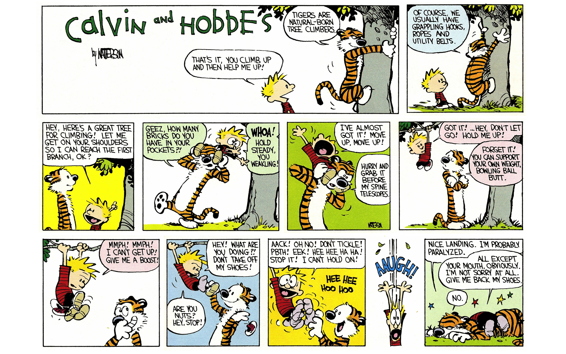 Calvin and Hobbes Issue #3 - Page 42