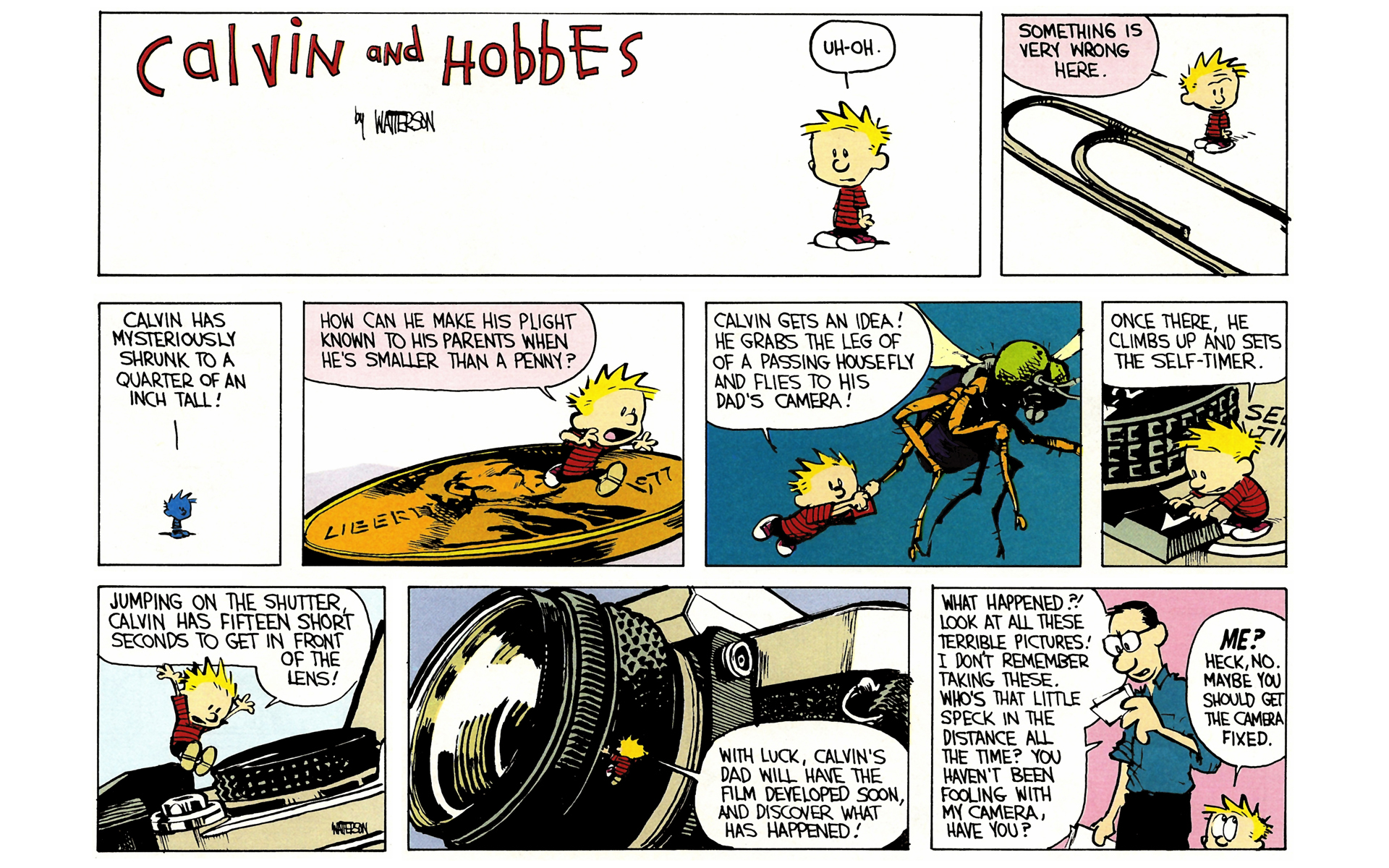 Calvin and Hobbes Issue #4 - Page 134