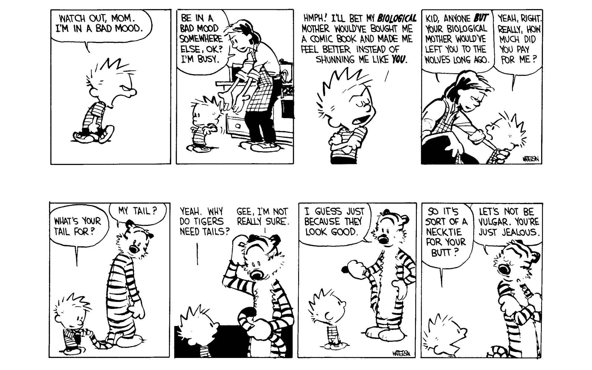 Calvin and Hobbes Issue #4 - Page 163