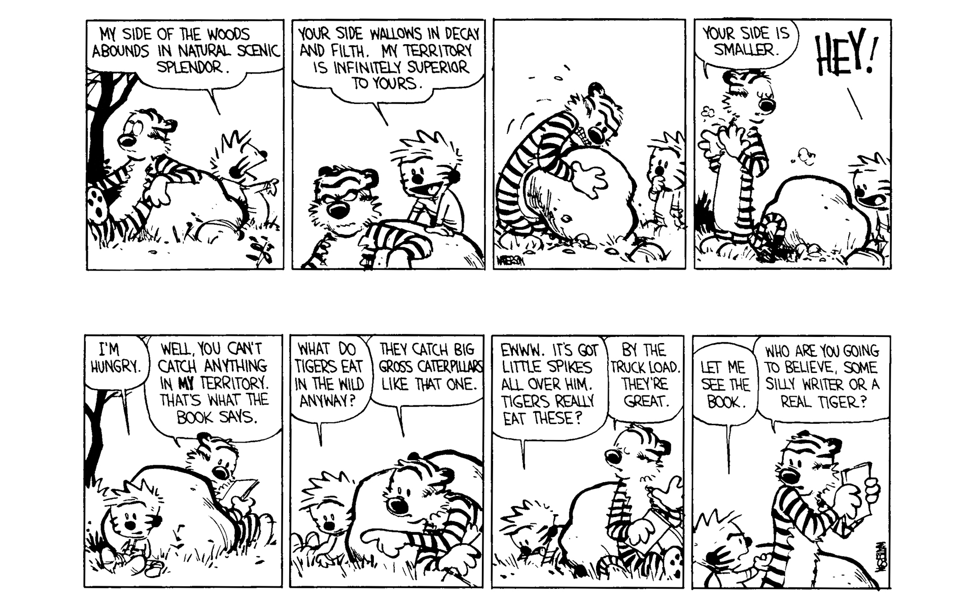 Calvin and Hobbes Issue #4 - Page 19