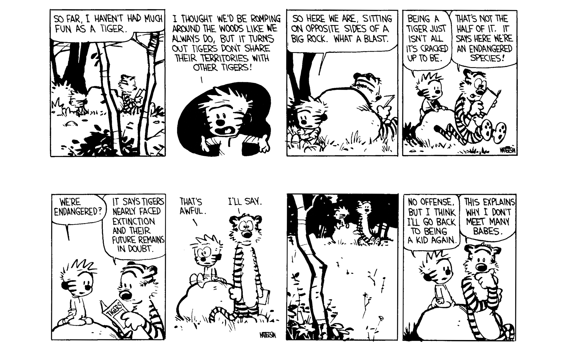 Calvin and Hobbes Issue #4 - Page 20