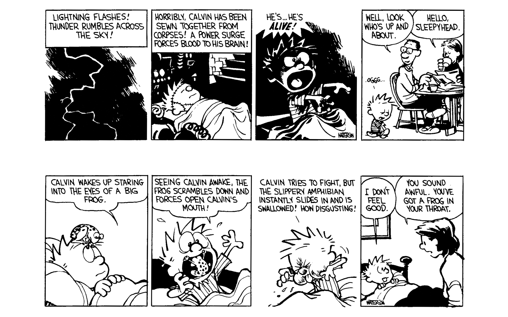 Calvin and Hobbes Issue #4 - Page 24