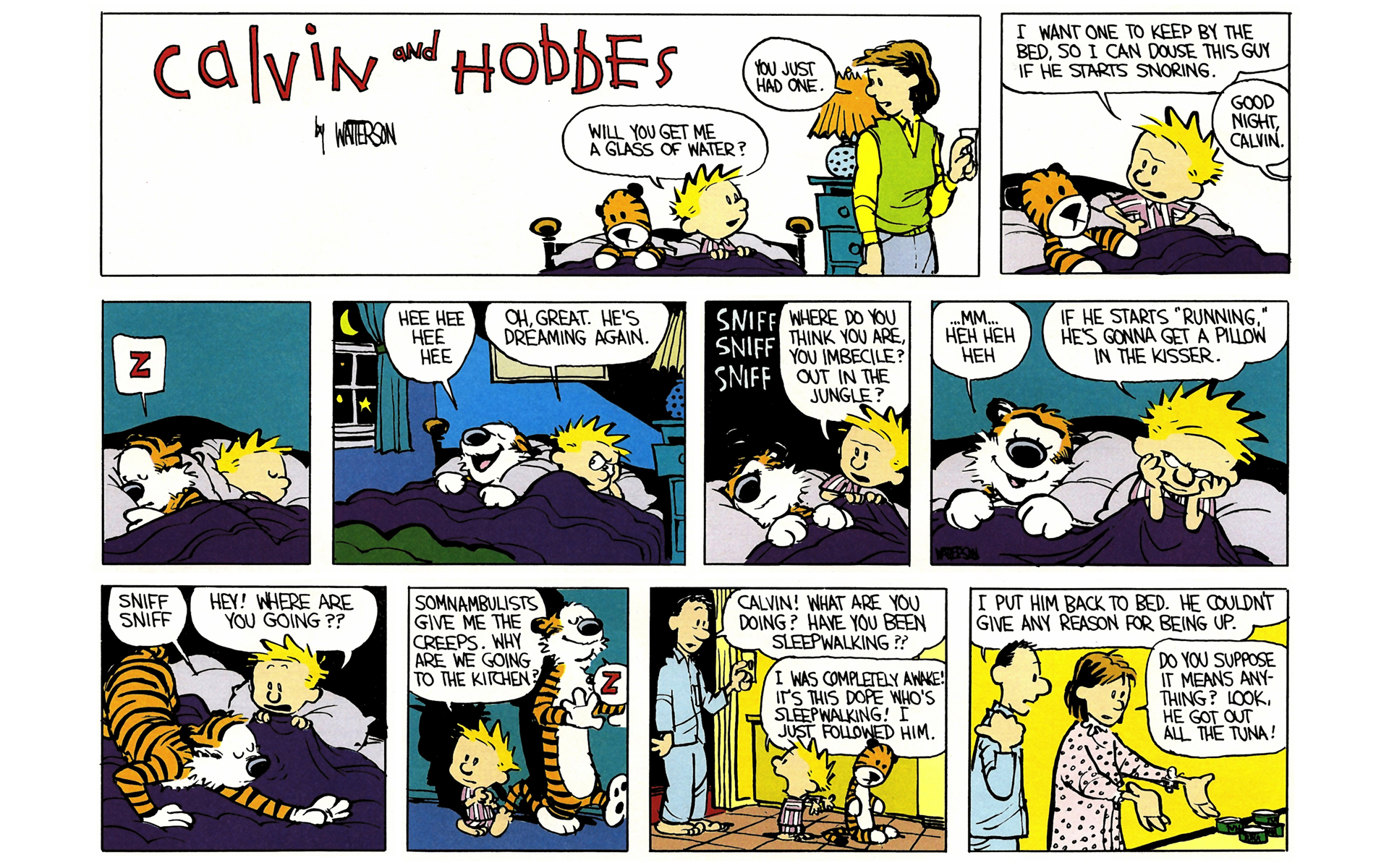 Calvin and Hobbes Issue #4 - Page 28