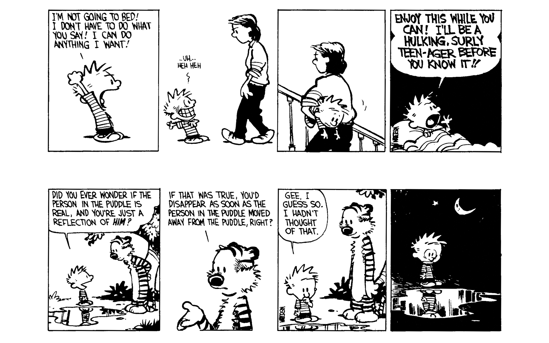 Calvin and Hobbes Issue #4 - Page 41