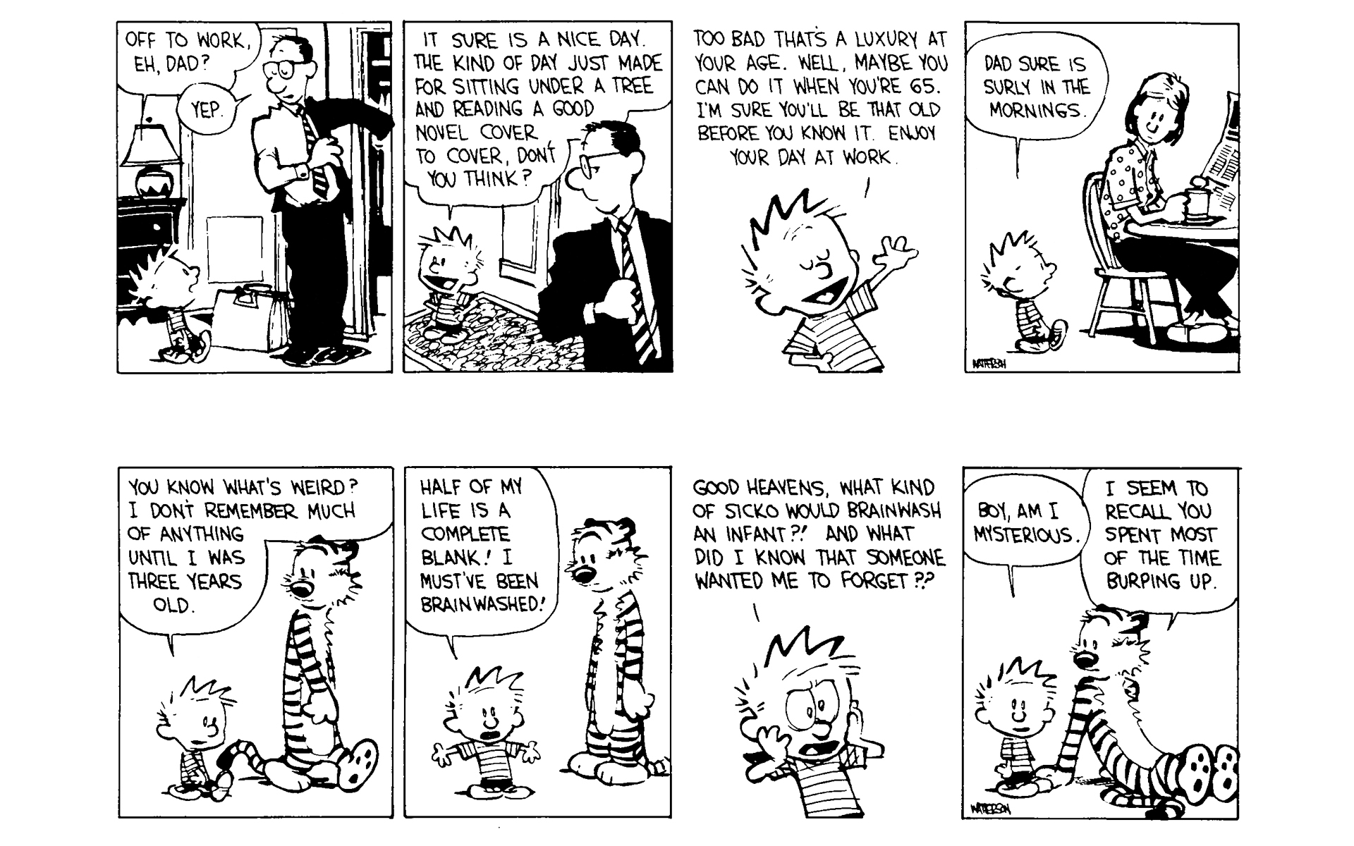 Calvin and Hobbes Issue #5 - Page 145