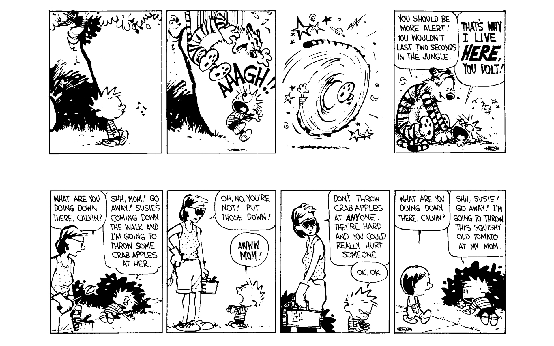 Calvin and Hobbes Issue #5 - Page 160