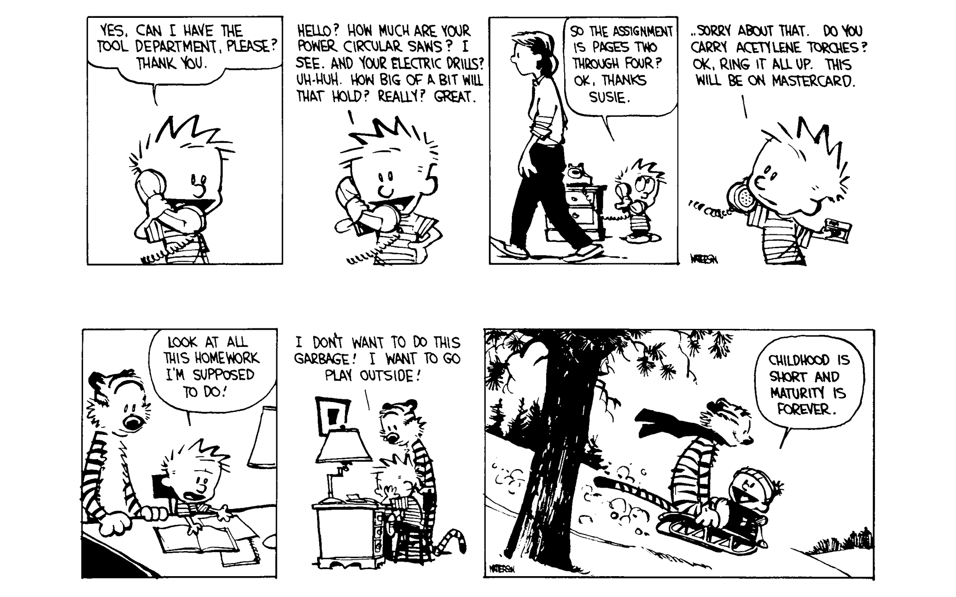Calvin and Hobbes Issue #5 - Page 38