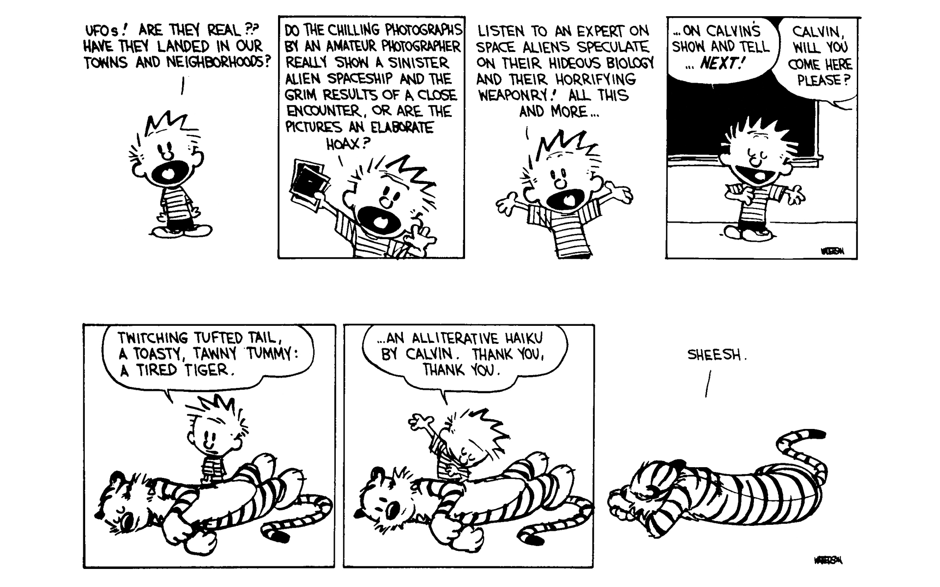 Calvin and Hobbes Issue #6 - Page 154