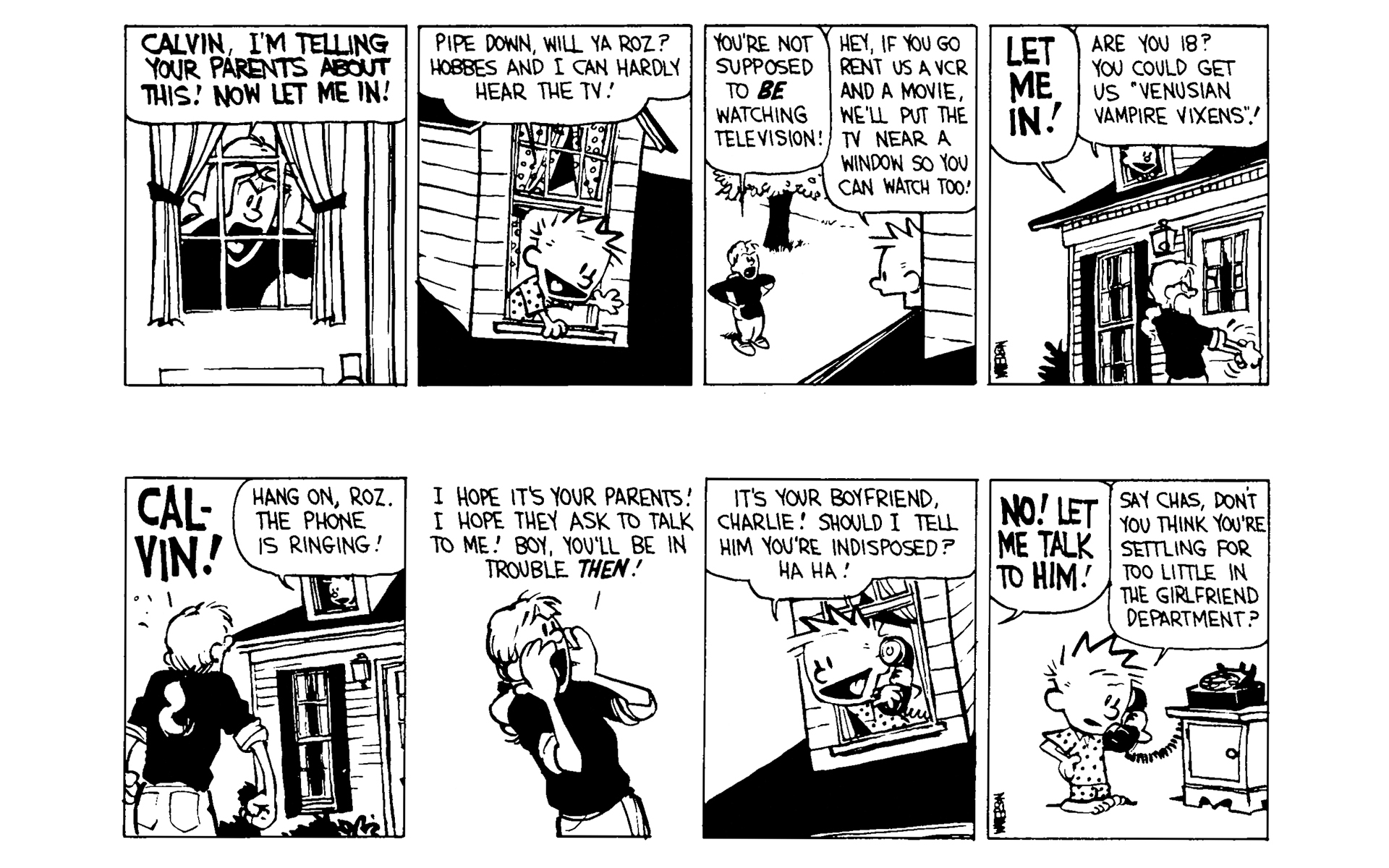 Calvin and Hobbes Issue #6 - Page 17