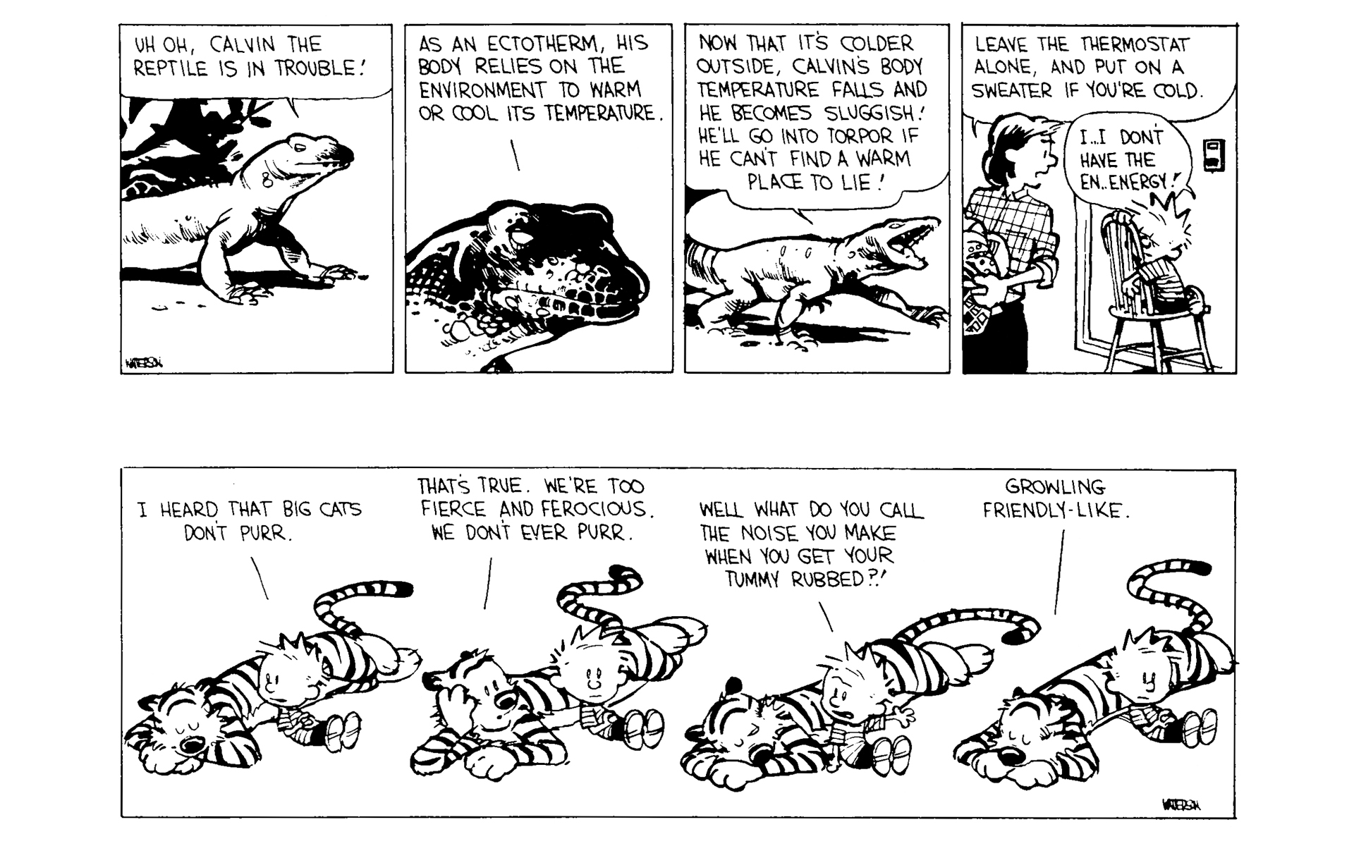 Calvin and Hobbes Issue #6 - Page 25