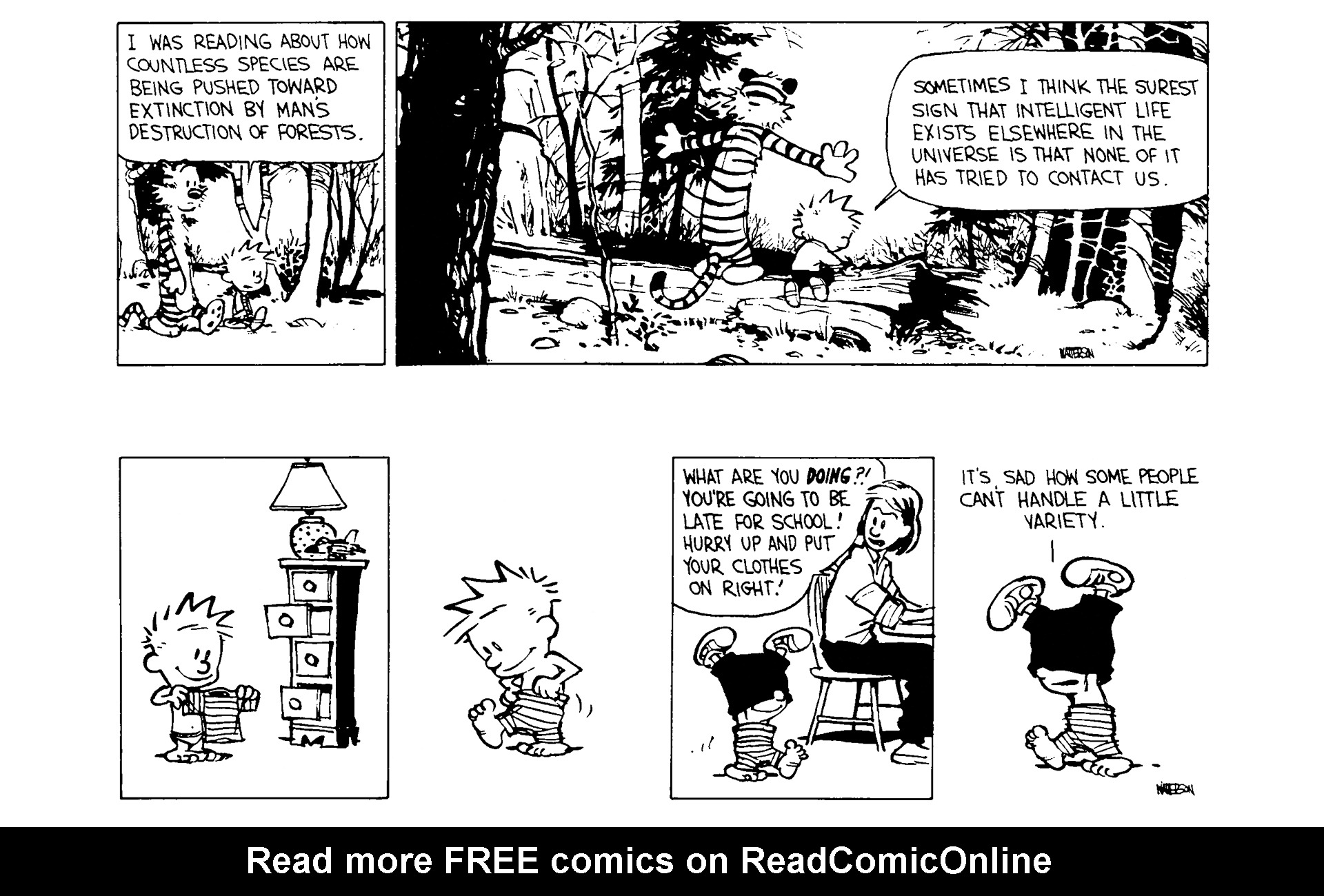 Calvin and Hobbes Issue #6 - Page 39