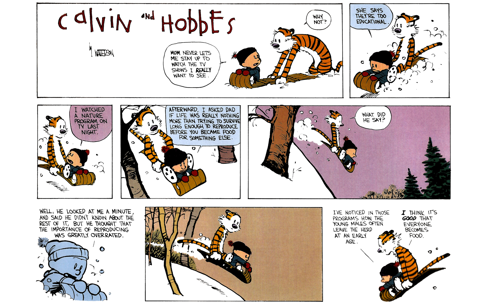 Calvin and Hobbes Issue #7 - Page 139