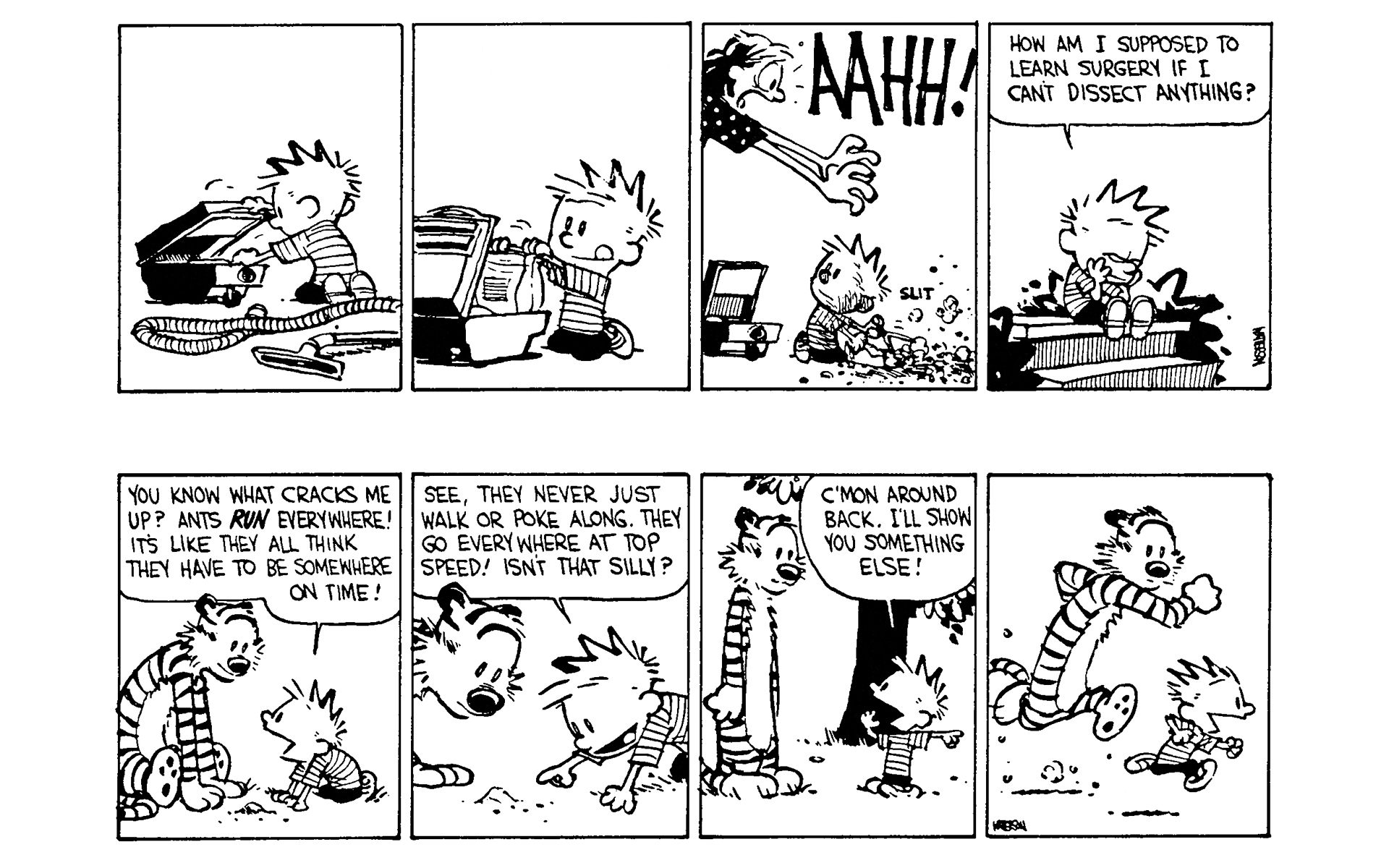 Calvin and Hobbes Issue #7 - Page 22