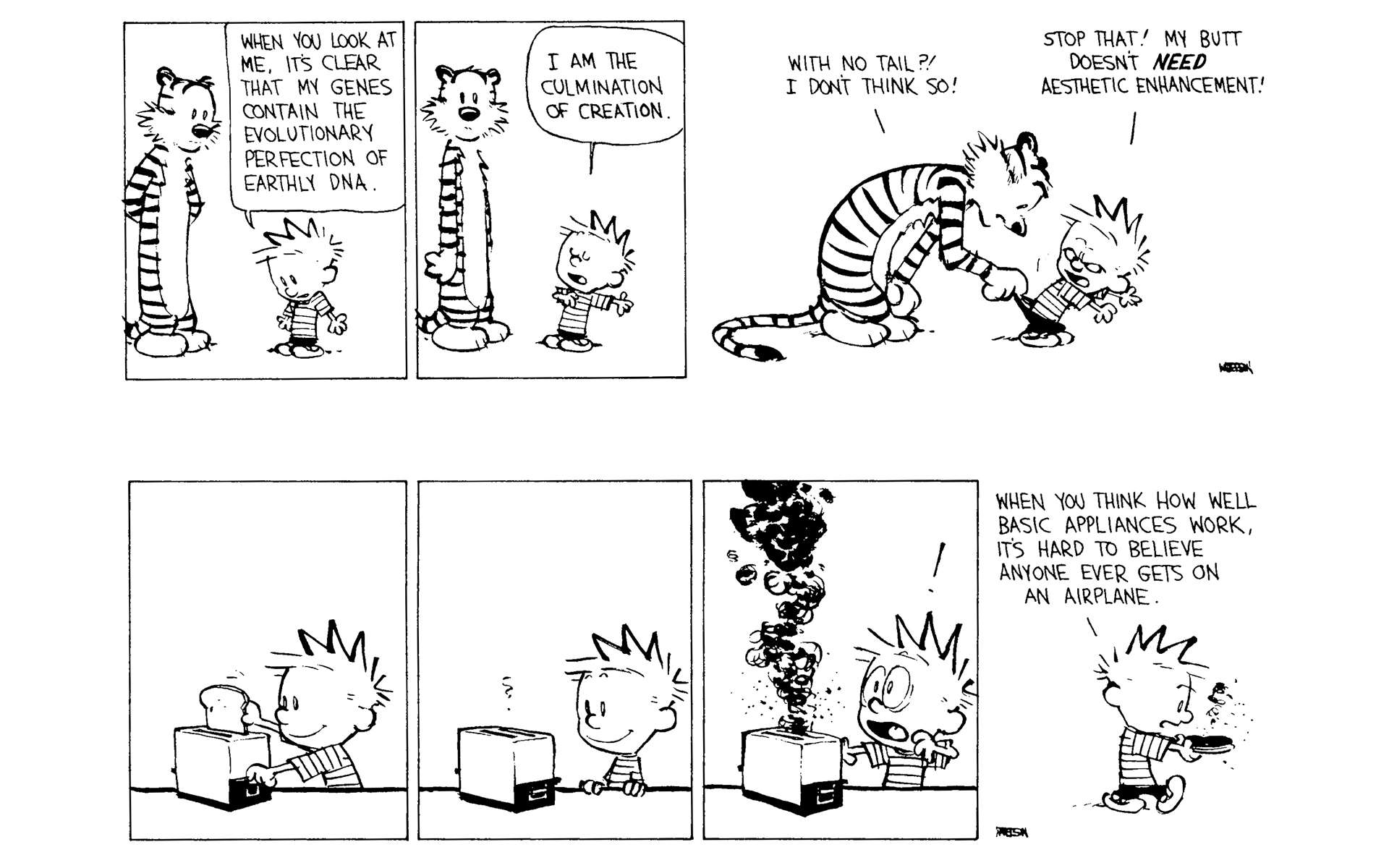 Calvin and Hobbes Issue #8 - Page 145