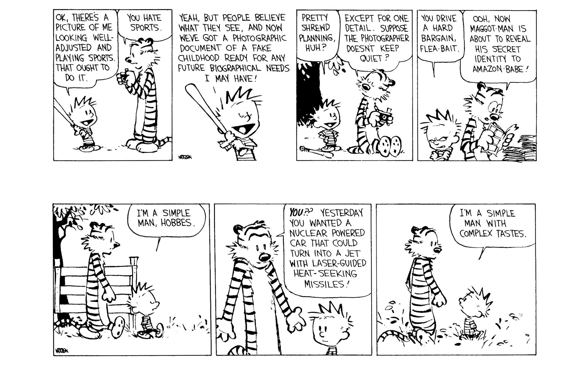 Calvin and Hobbes Issue #8 - Page 147