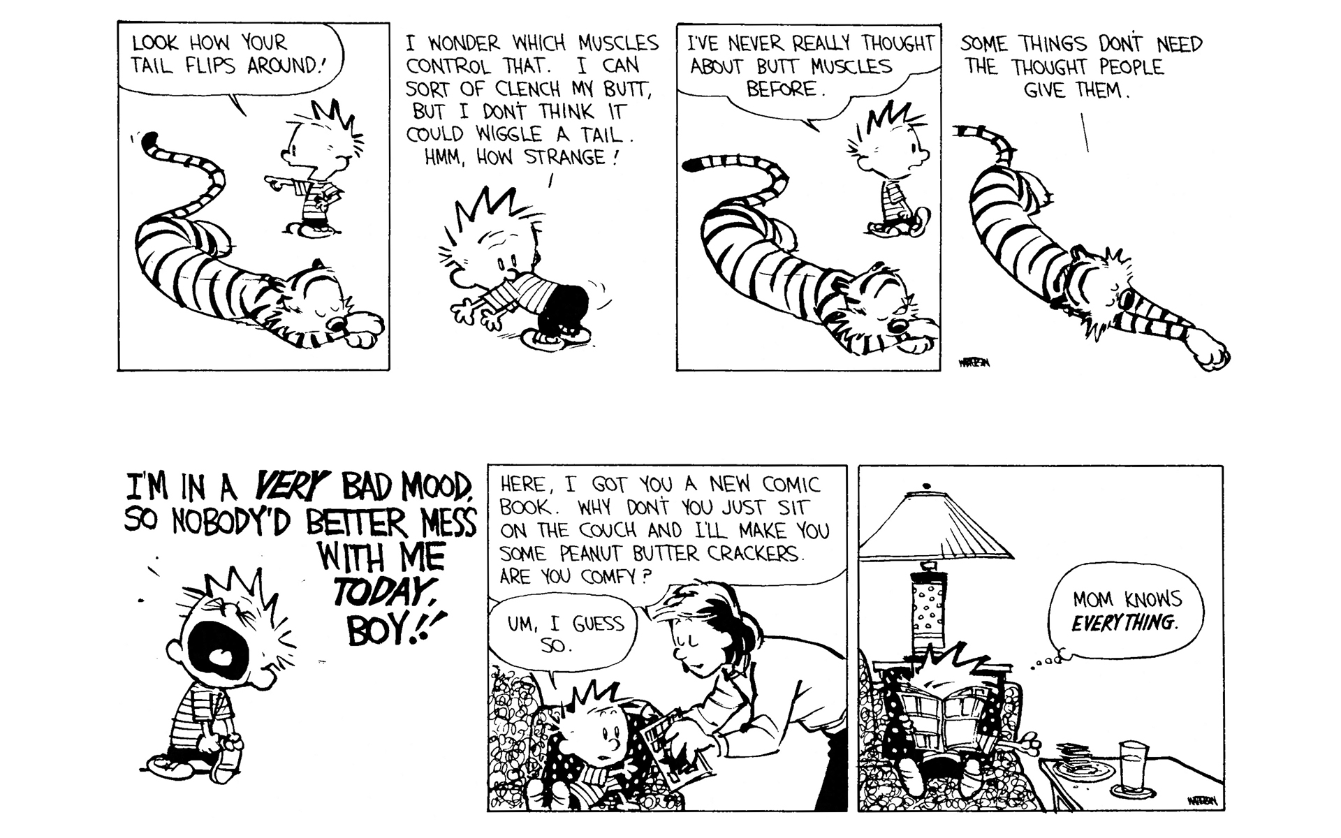 Calvin and Hobbes Issue #8 - Page 159