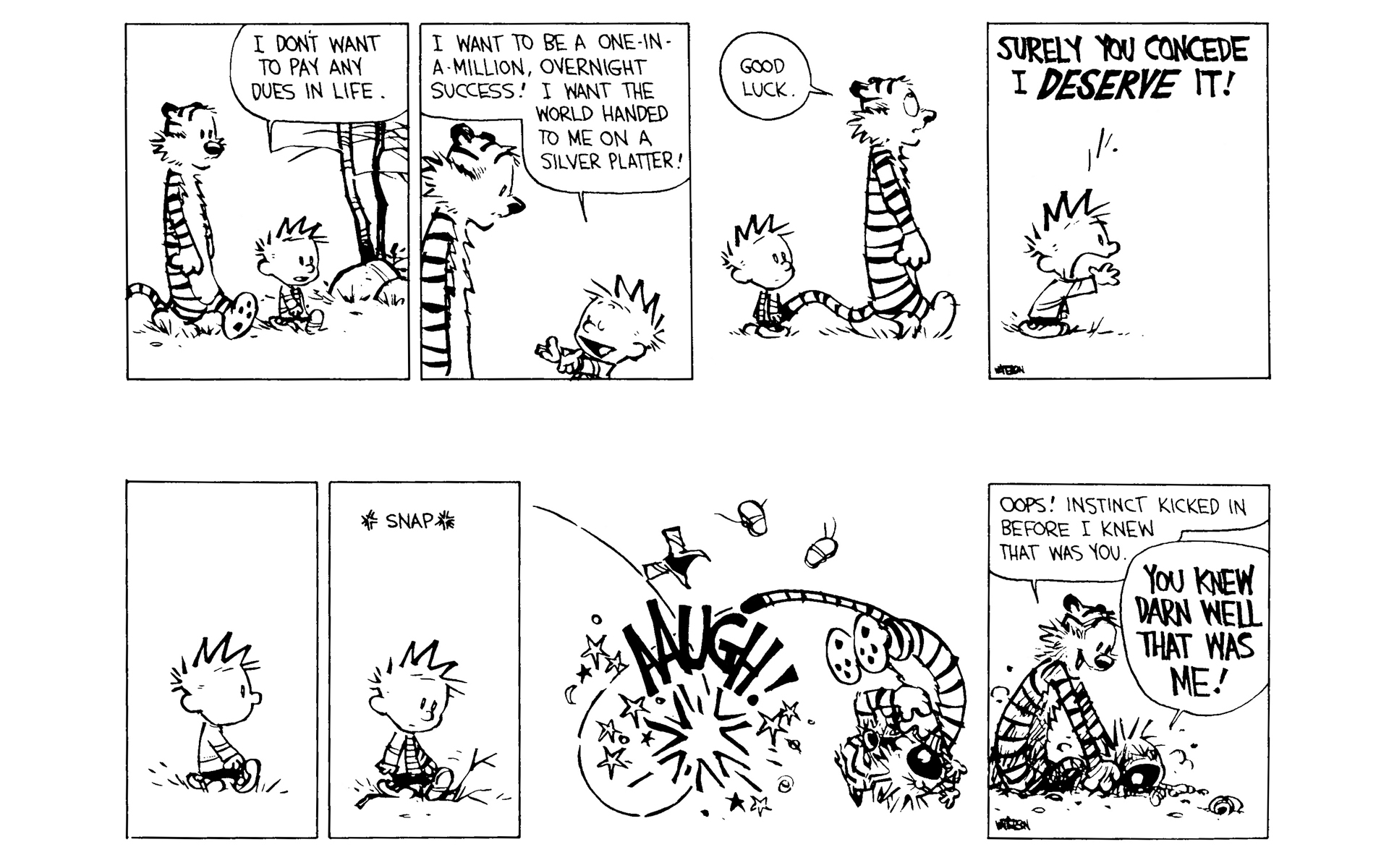 Calvin and Hobbes Issue #8 - Page 39