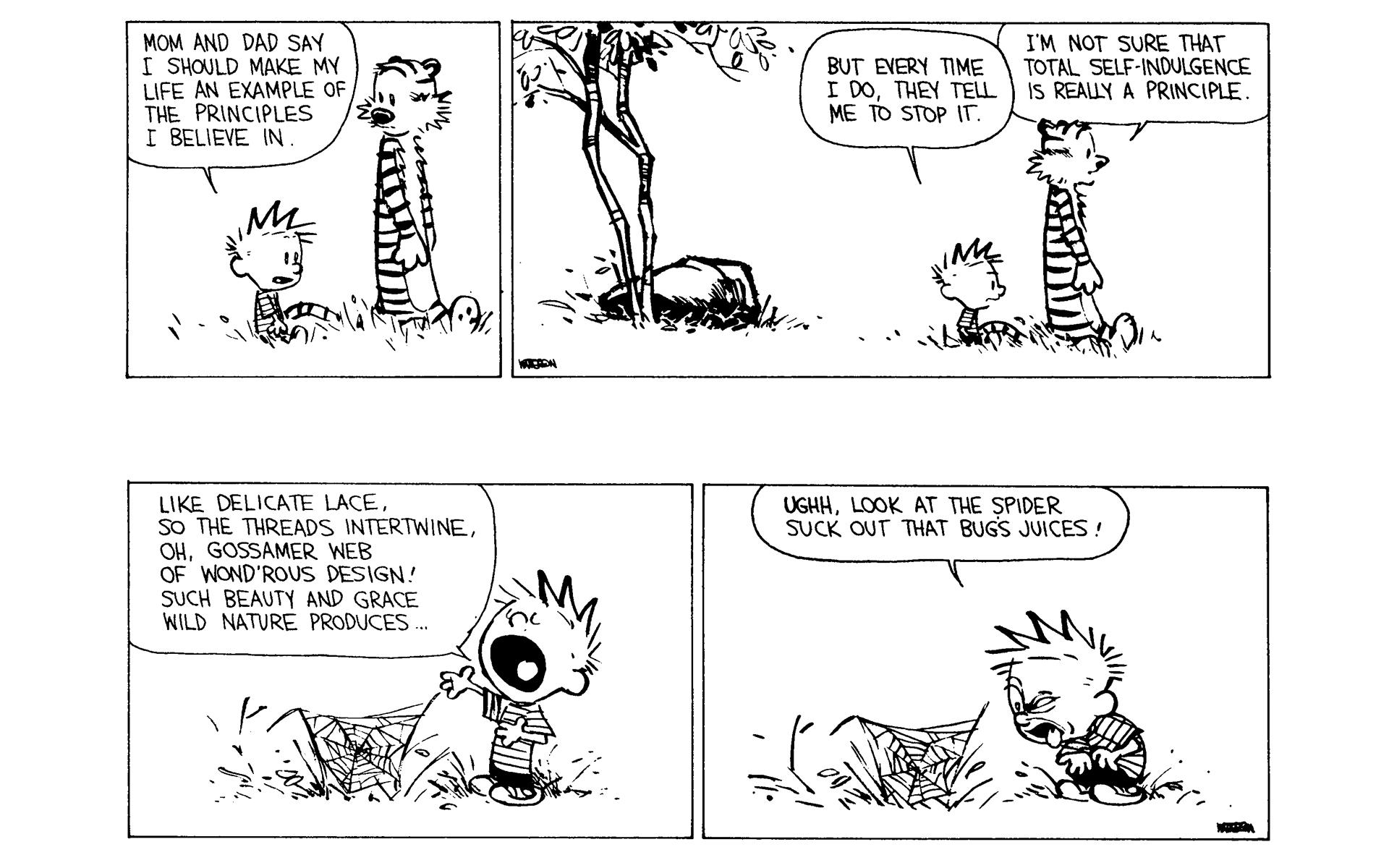 Calvin and Hobbes Issue #9 - Page 138