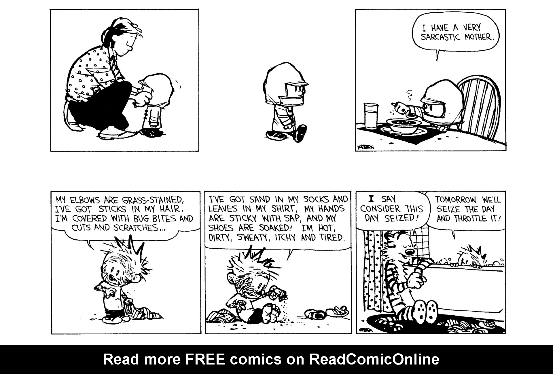 Calvin and Hobbes Issue #9 - Page 147